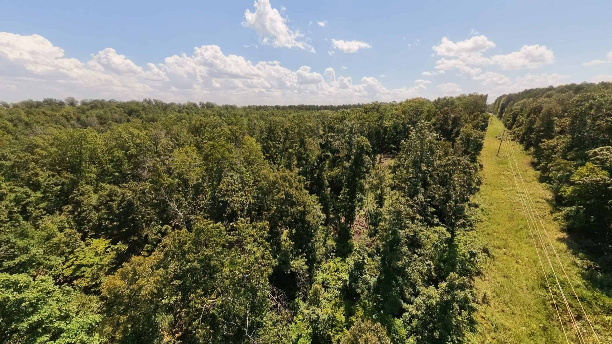 000 County Road 127, Alton, Missouri