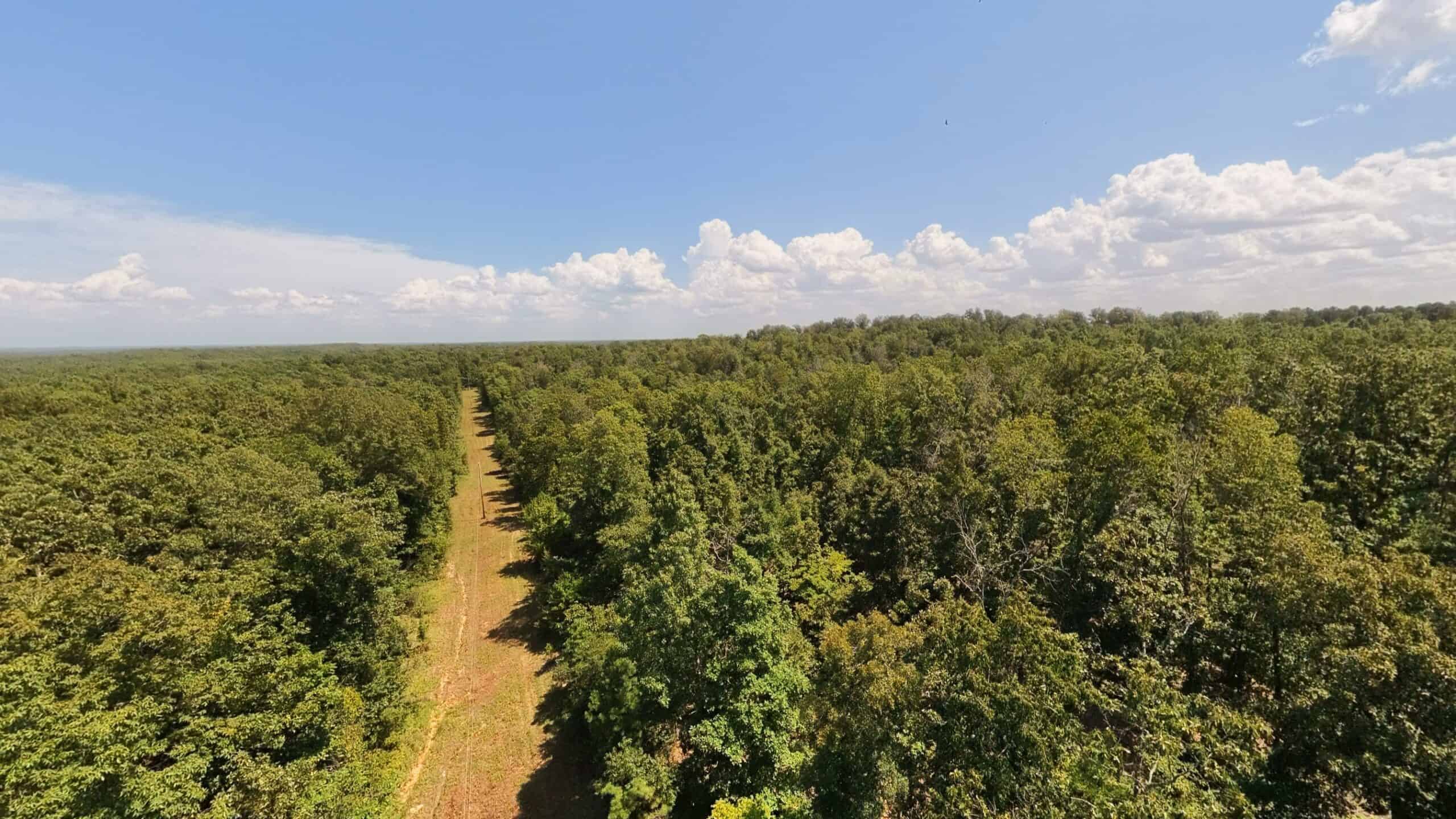 000 County Road 127, Alton, Missouri