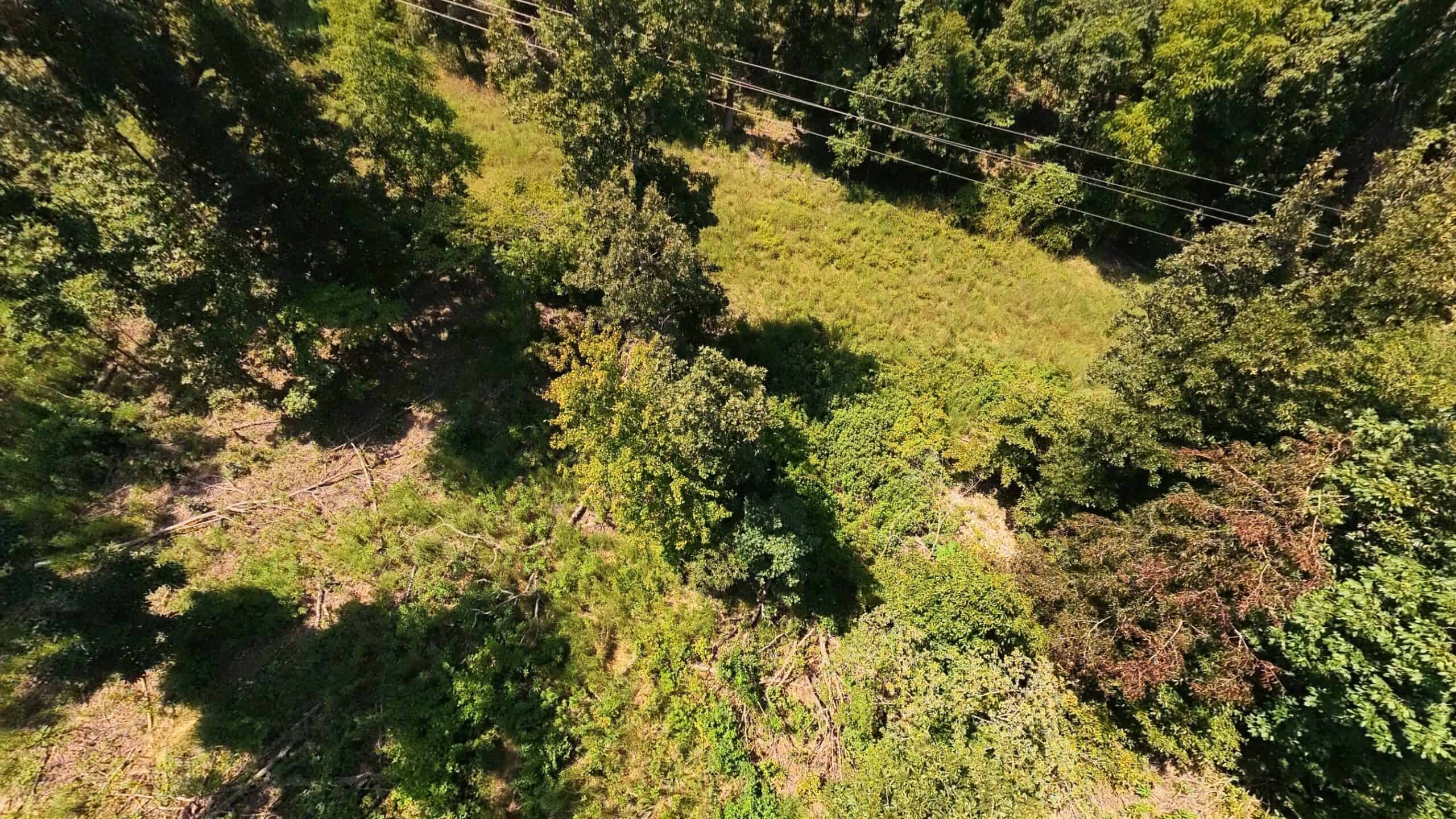 000 County Road 127, Alton, Missouri