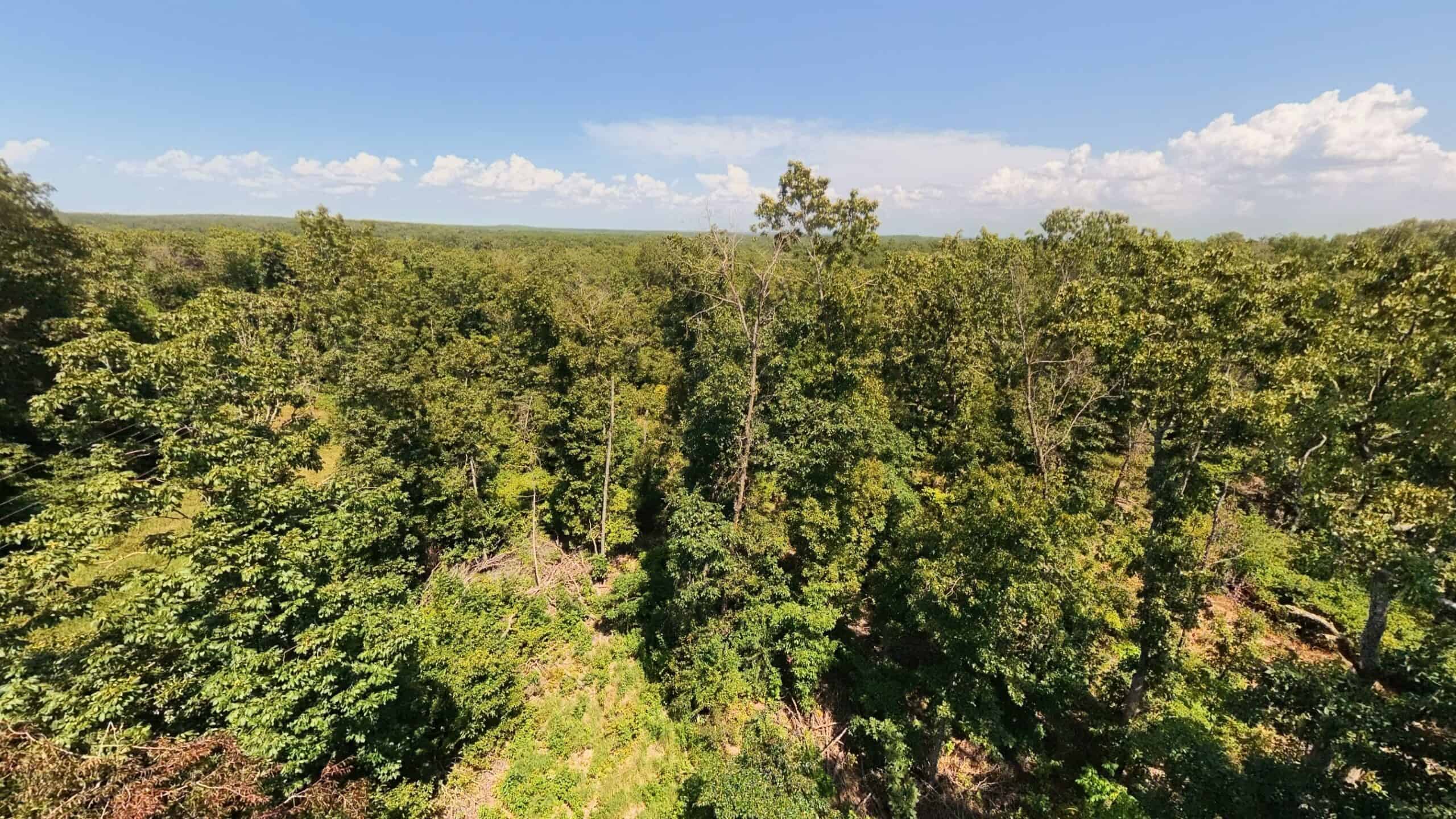 000 County Road 127, Alton, Missouri