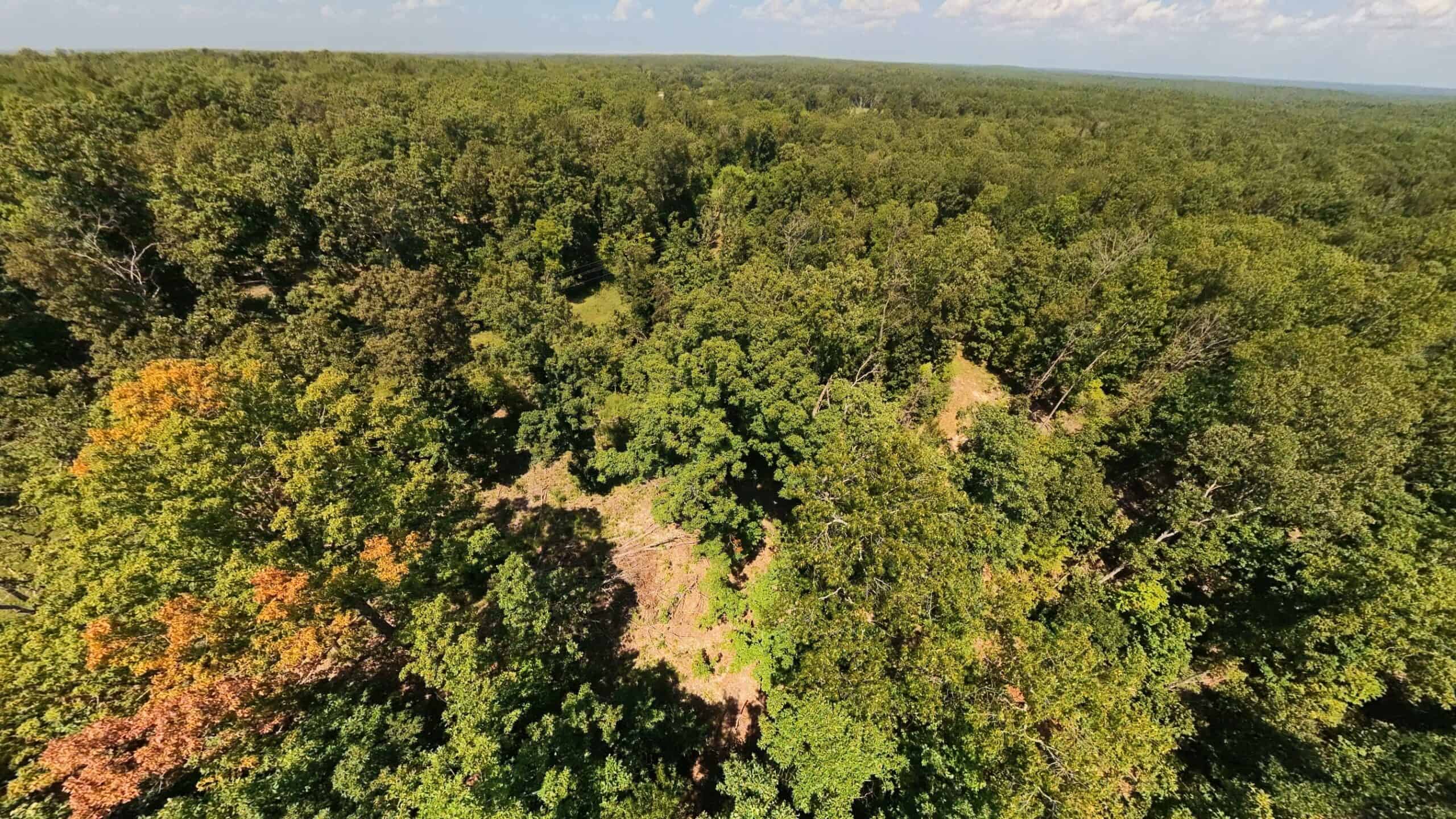 000 County Road 127, Alton, Missouri