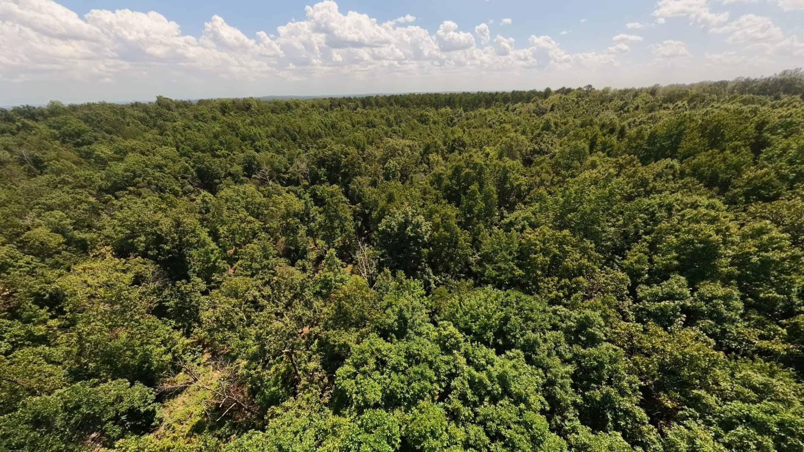 000 County Road 127, Alton, Missouri