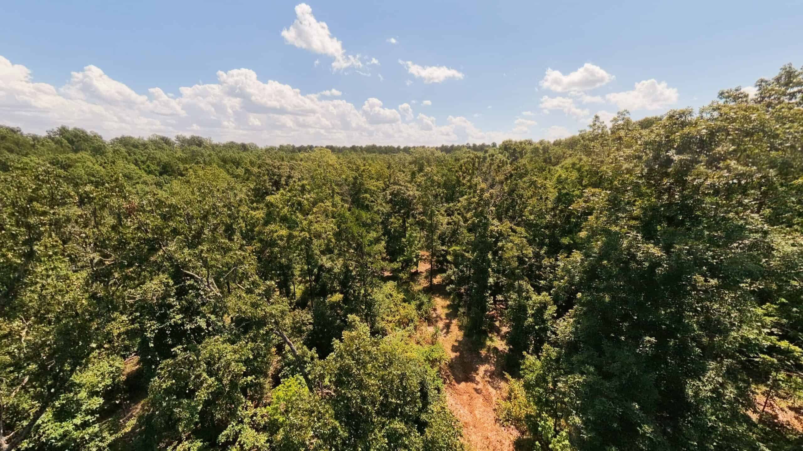 000 County Road 127, Alton, Missouri