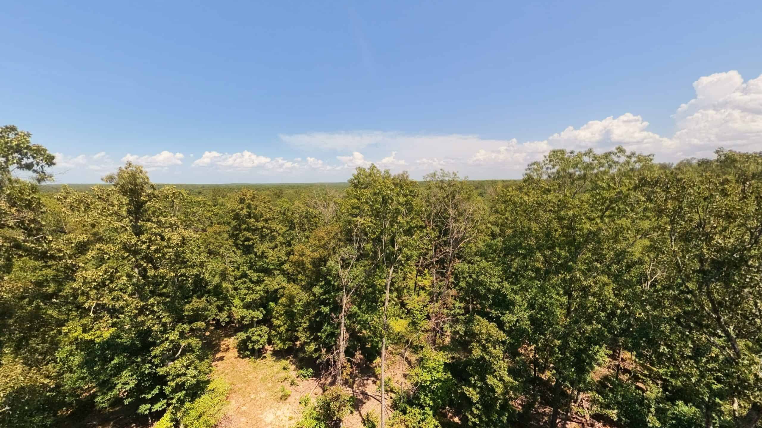 000 County Road 127, Alton, Missouri