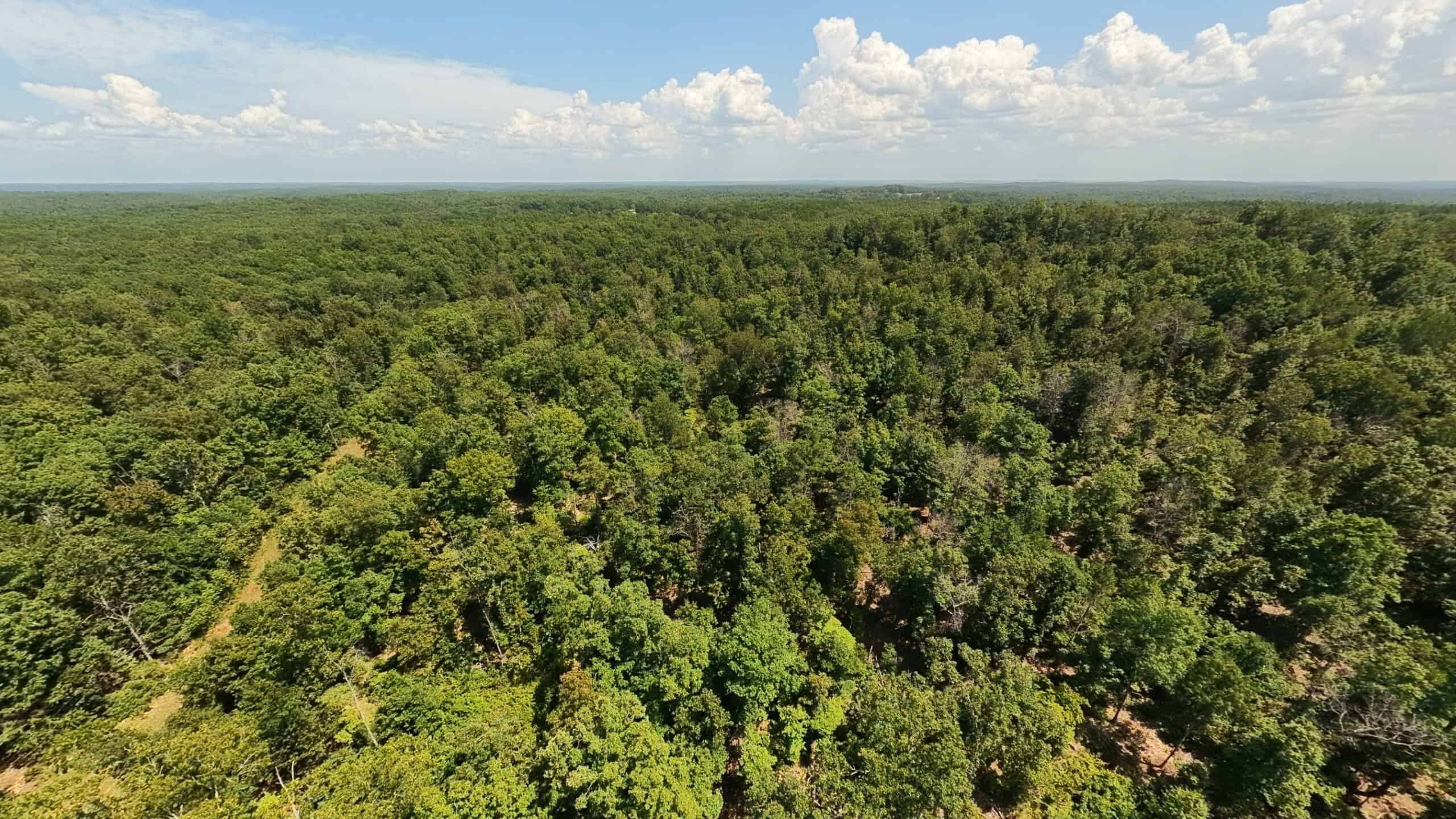 000 County Road 127, Alton, Missouri