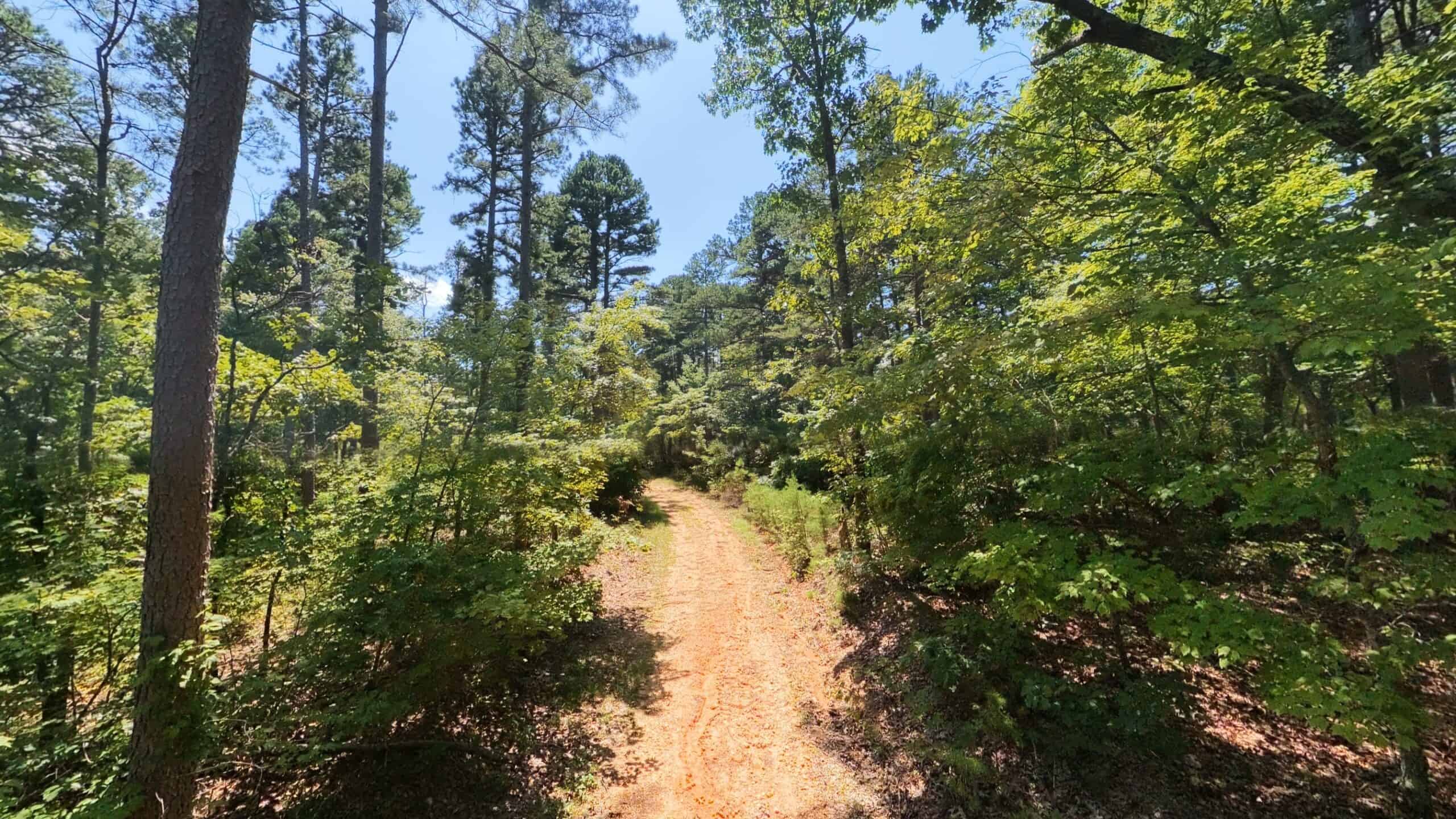 000 County Road 127, Alton, Missouri