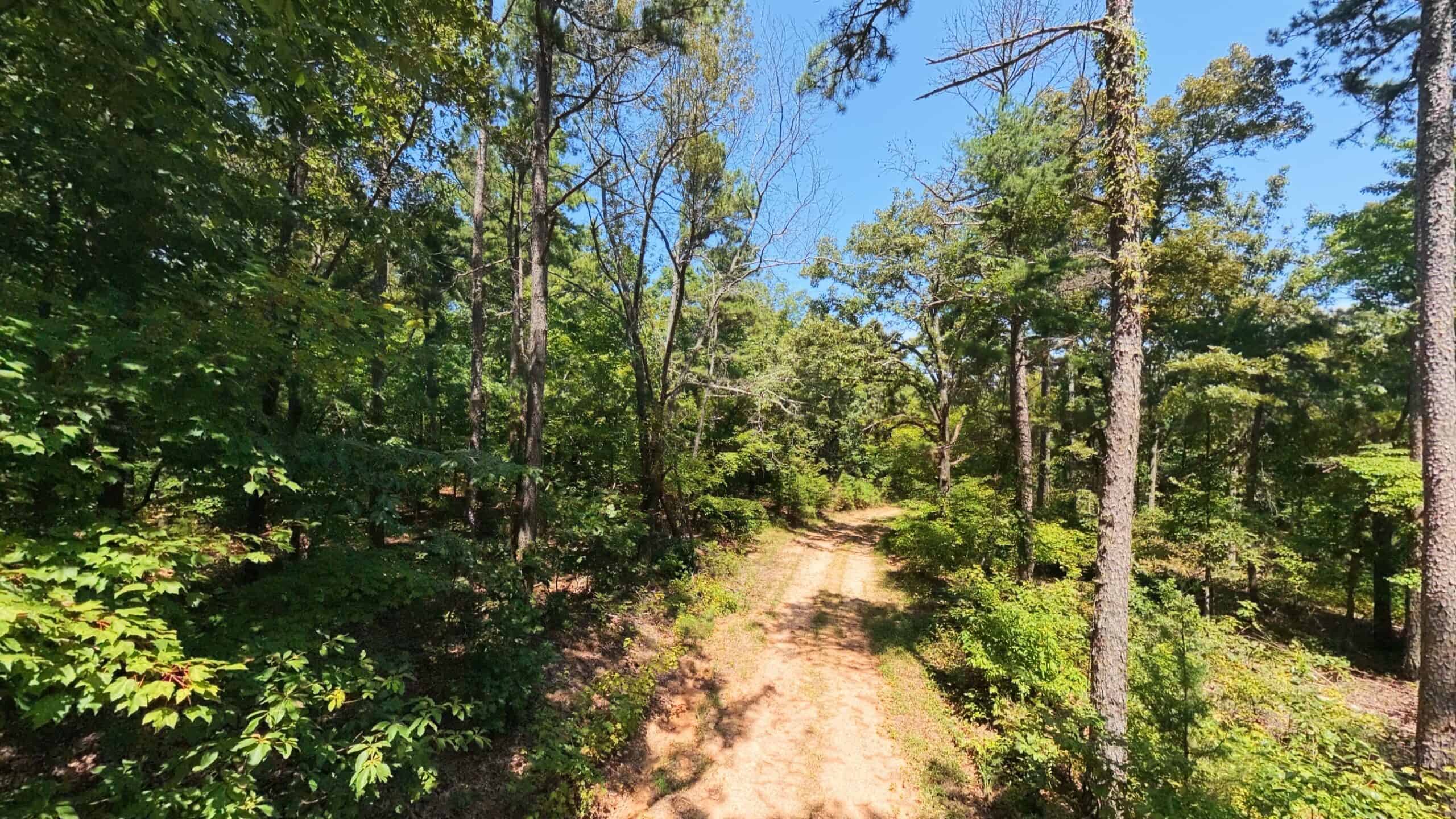 000 County Road 127, Alton, Missouri