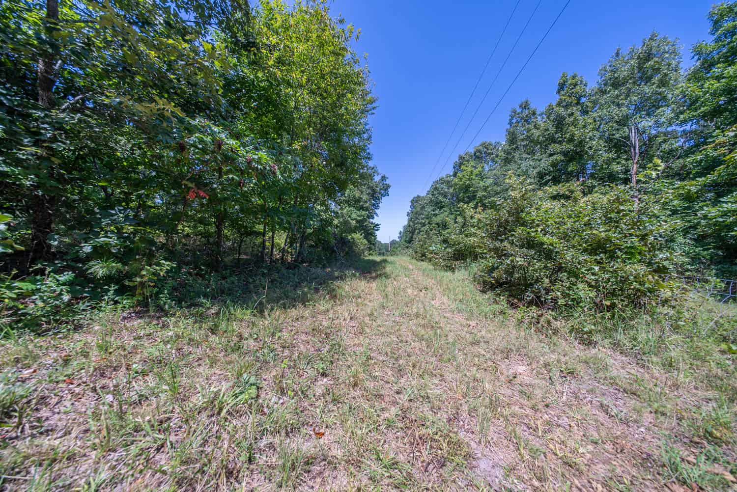 000 County Road 127, Alton, Missouri