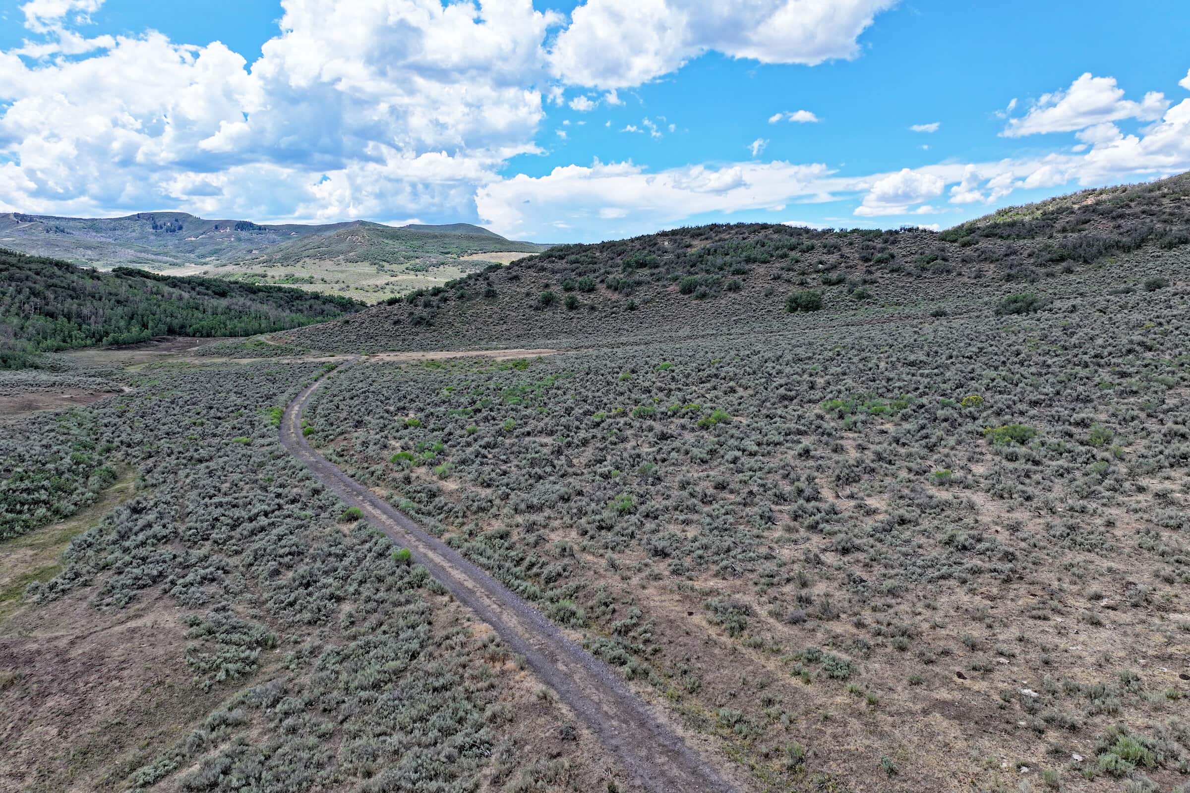35 Acres Borders Public Land near Collbran, CO