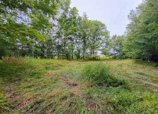 280 ± Acres Near Butternut Lake, WI Recreational Land