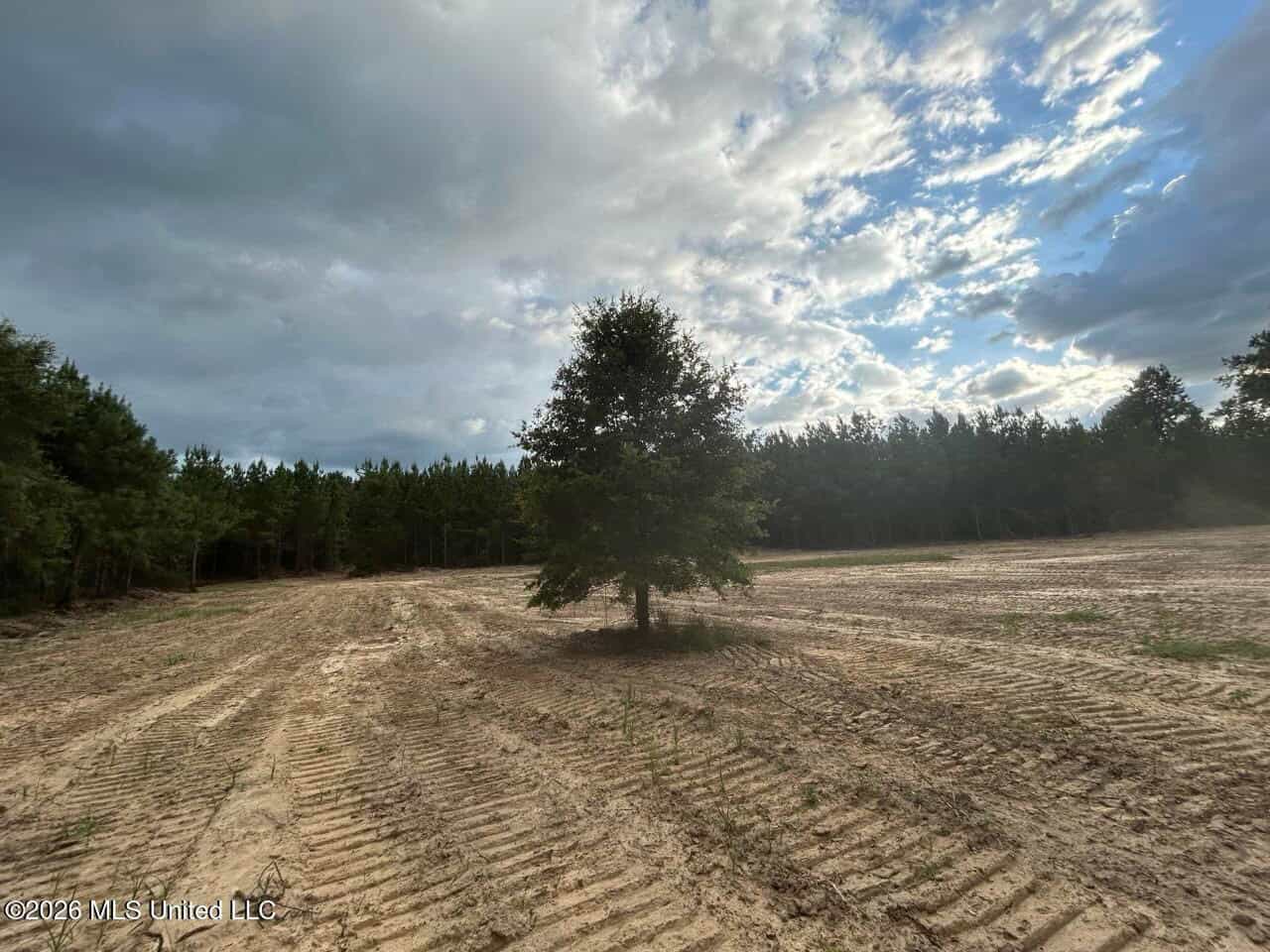 82± Acre Hunting Tract in Meadville, MS