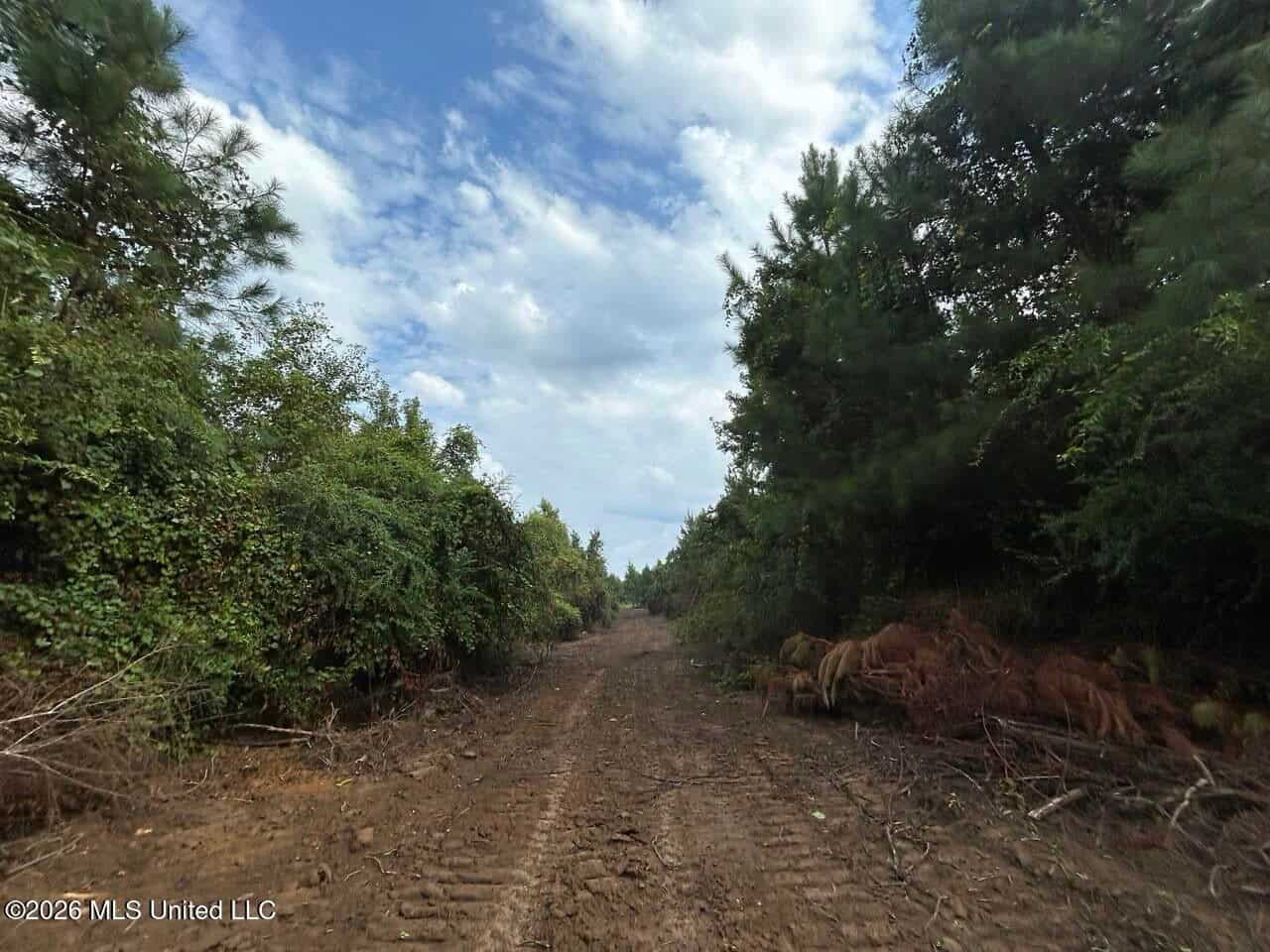 82± Acre Hunting Property in Wilkinson County, MS