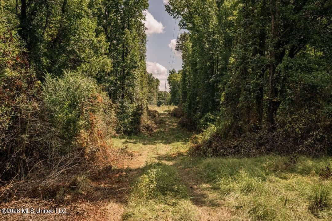 HWY 49 Land for Sale Simpson County, MS
