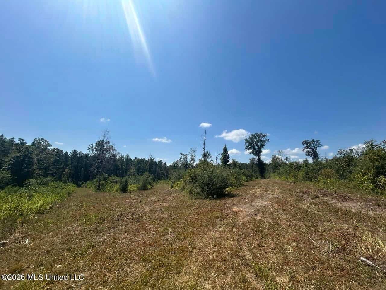 147± Acre Hunting Property in Plainview, LA