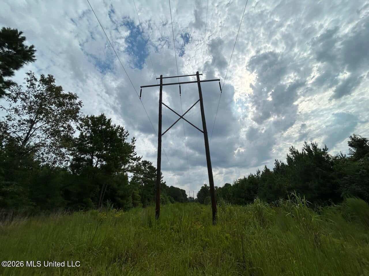 53± Acre Hunting Property Near Centreville, MS