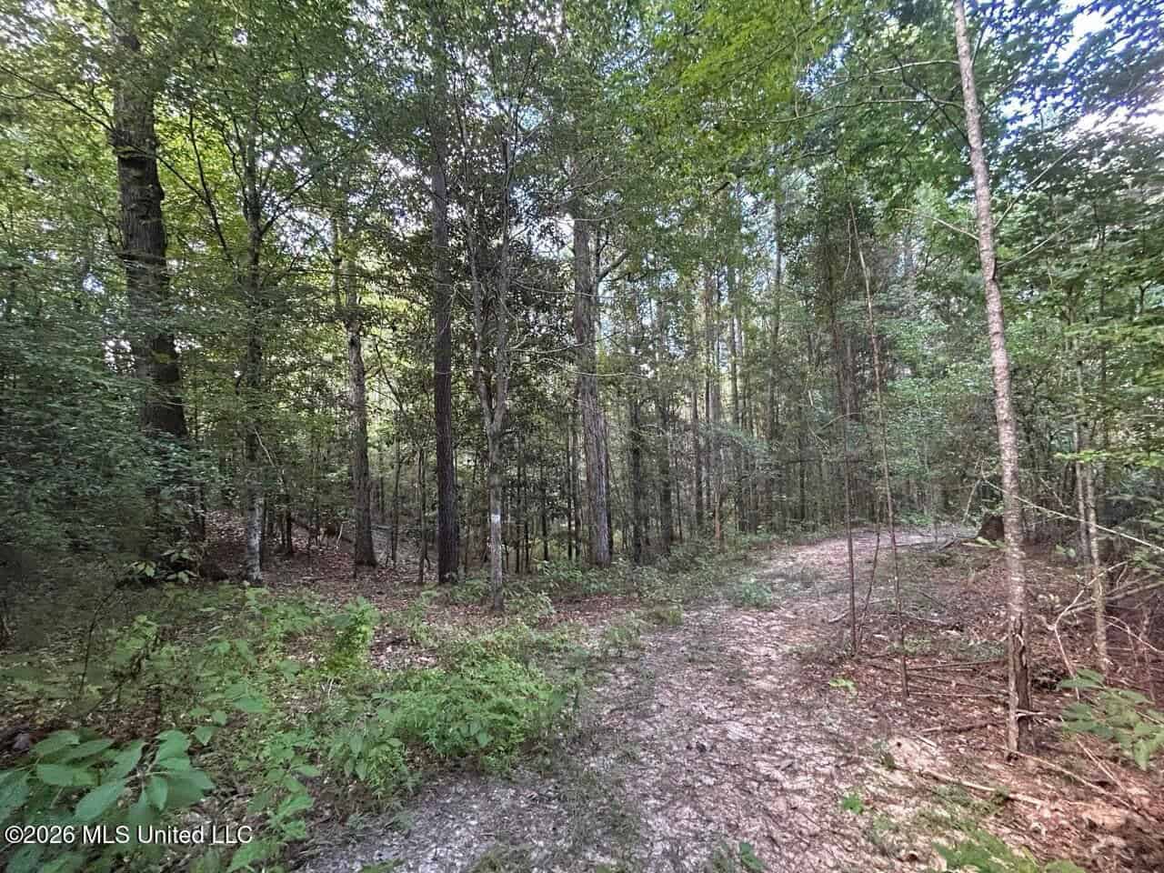 FRANKLIN COUNTY LAND FOR SALE NEAR McCALL CREEK