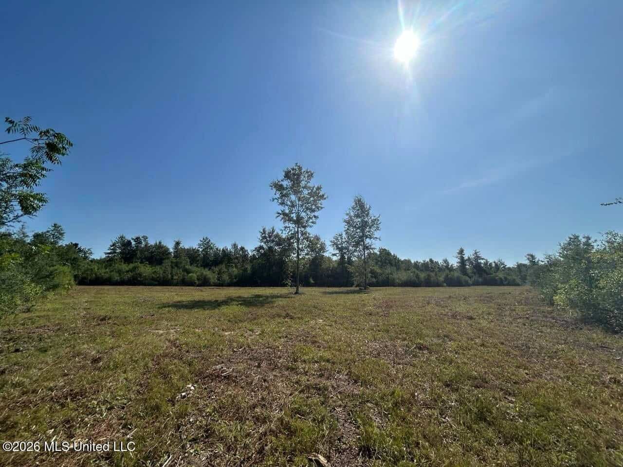50± Acre Homesite & Hunting Land in Plainview, LA
