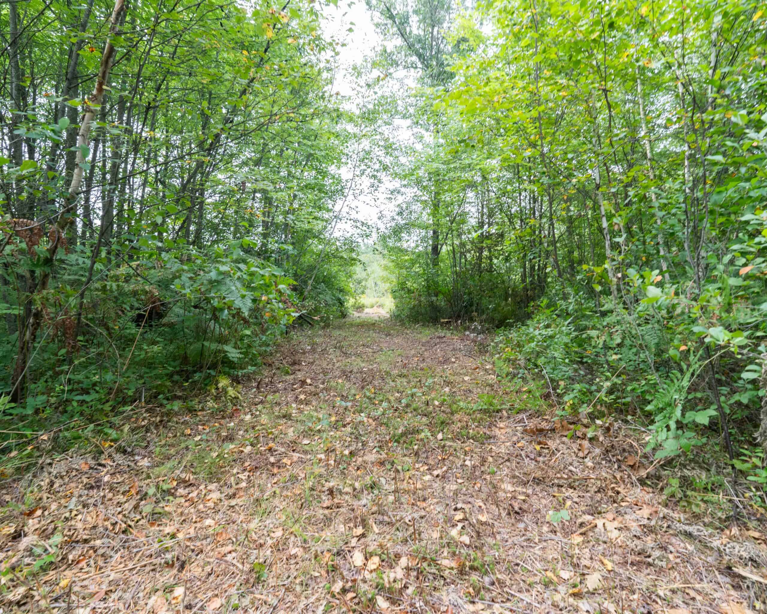 Juneau County WI 80 Acre Camp For Sale