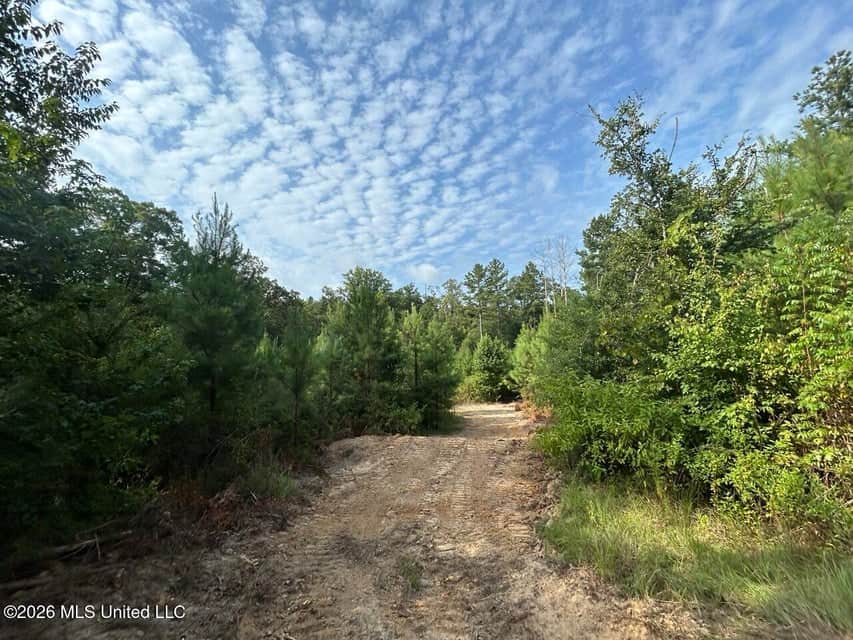 90± Acre Hunting Tract for Sale in Meadville, MS