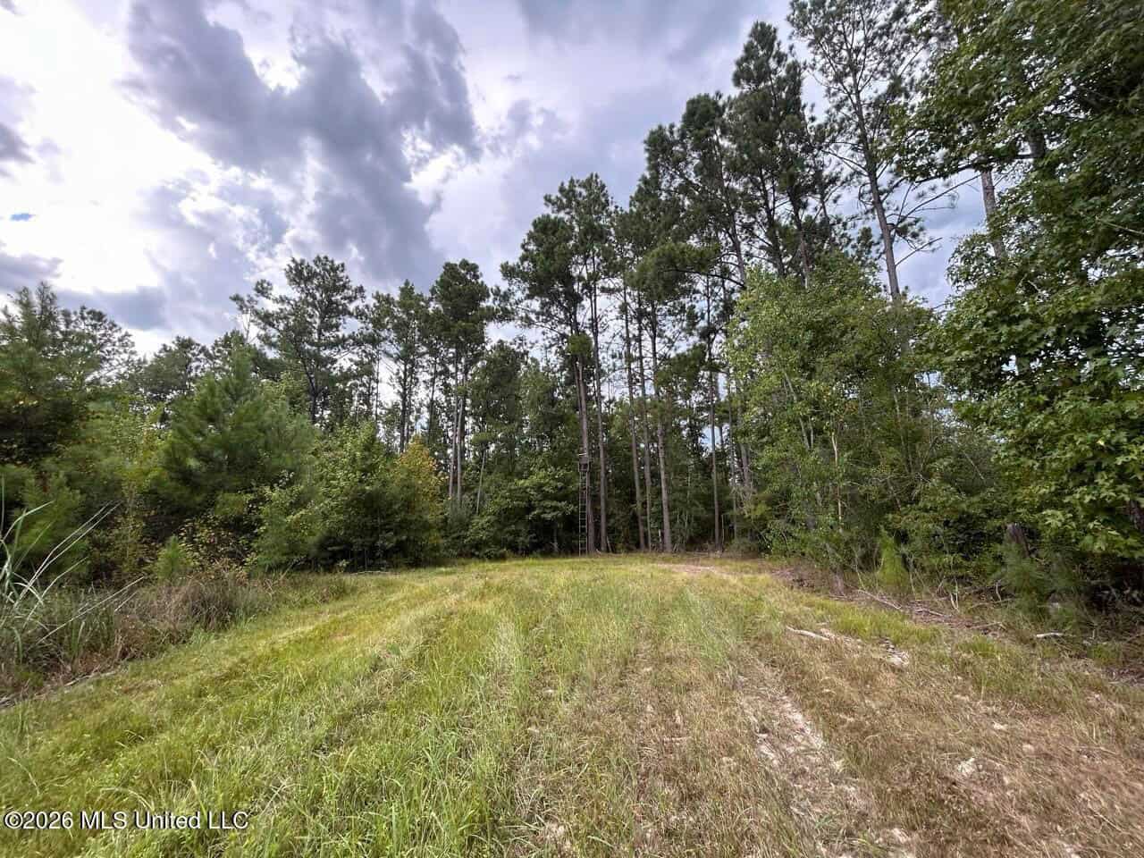 85± Acre Turnkey Hunting Property in Amite County, MS