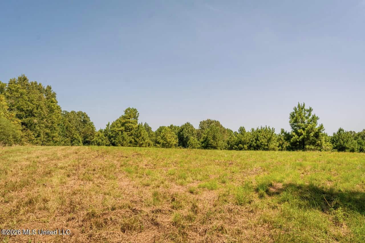 52.25± Acres in Copiah County, MS Near Hazlehurst