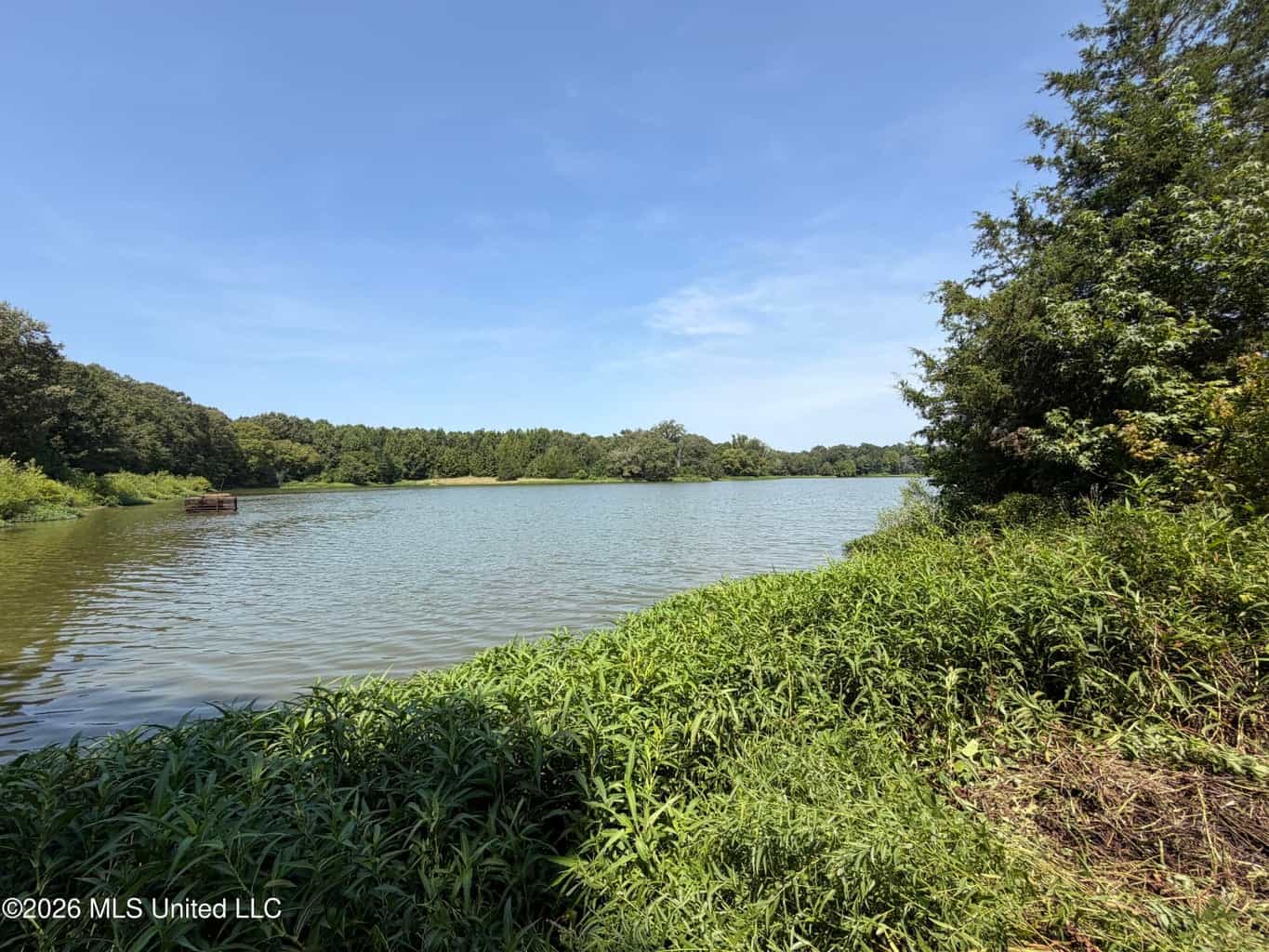 81-Acre Timber Property on 20-Acre Lake in Vaughan, MS