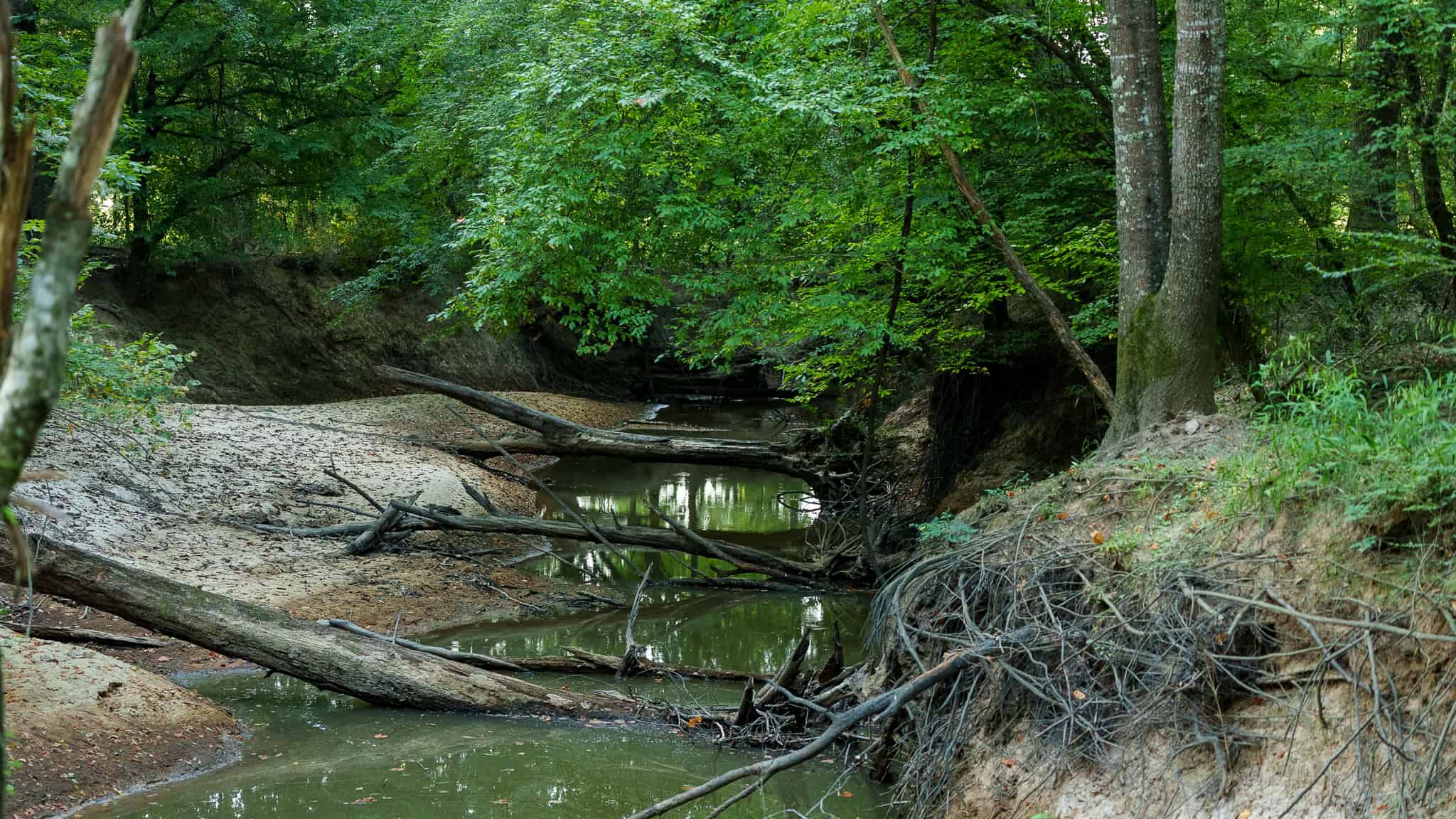 East TX Hunting Land for Sale | 327 Acres | River & Duck Slough | Laneville TX