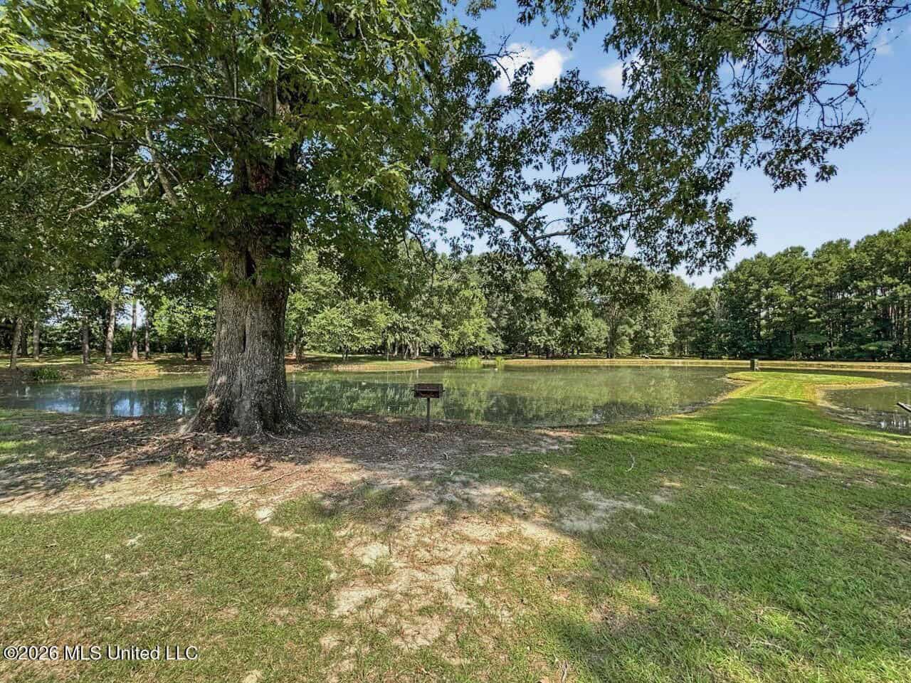 85± Acre Luxury Estate in Poplarville, MS
