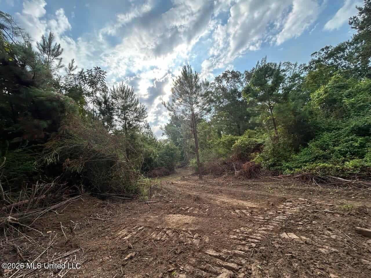82± Acre Hunting Property in Wilkinson County, MS
