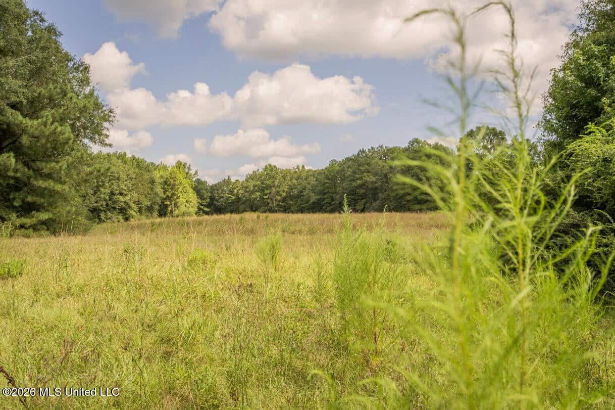 HWY 49 Land for Sale Simpson County, MS