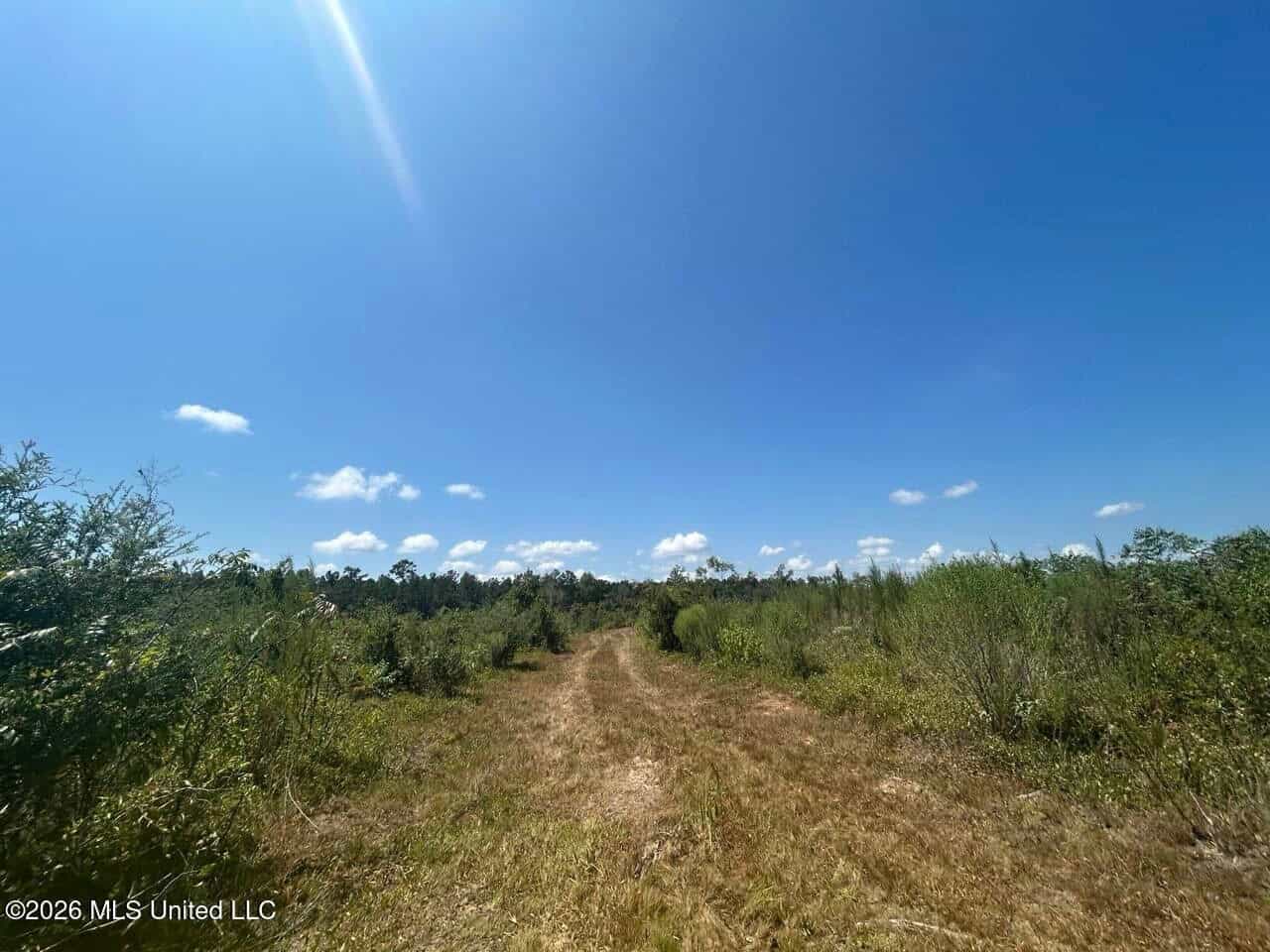 147± Acre Hunting Property in Plainview, LA