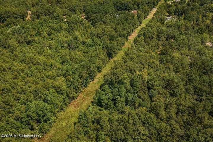 31 Acres for Sale Near Collins MS | Mature Timber & Hunting