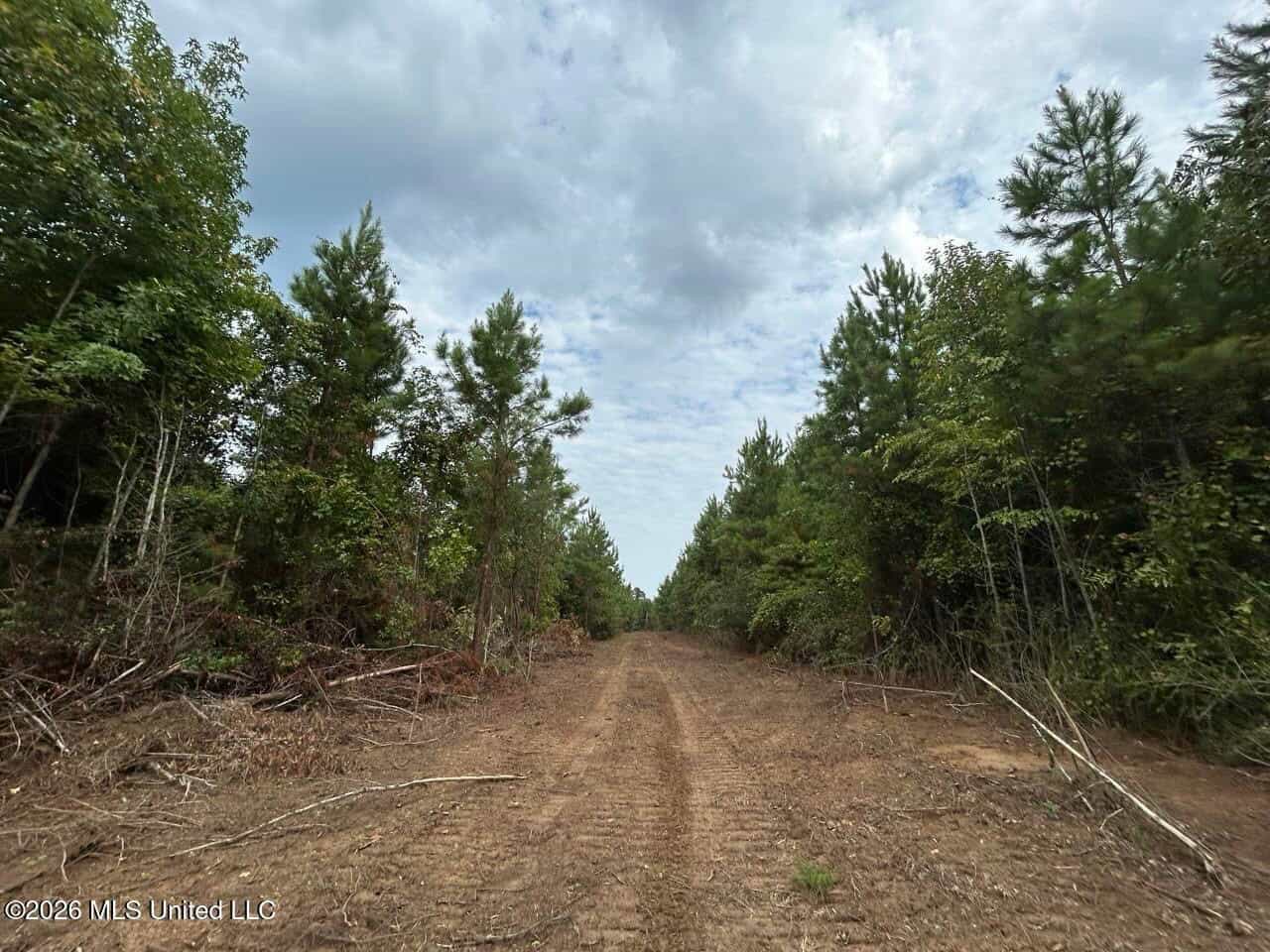 53± Acre Hunting Property Near Centreville, MS