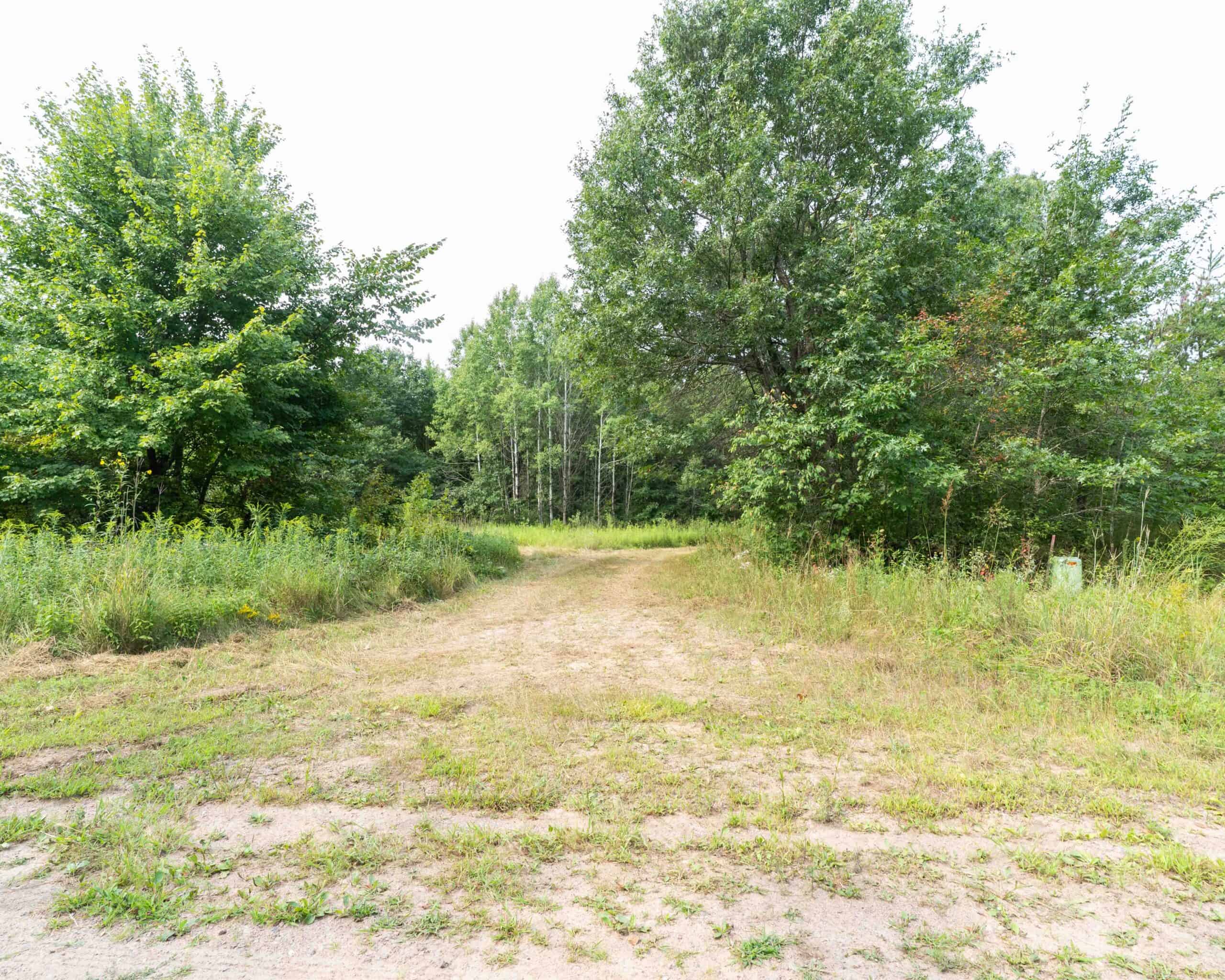 Juneau County WI 80 Acre Camp For Sale