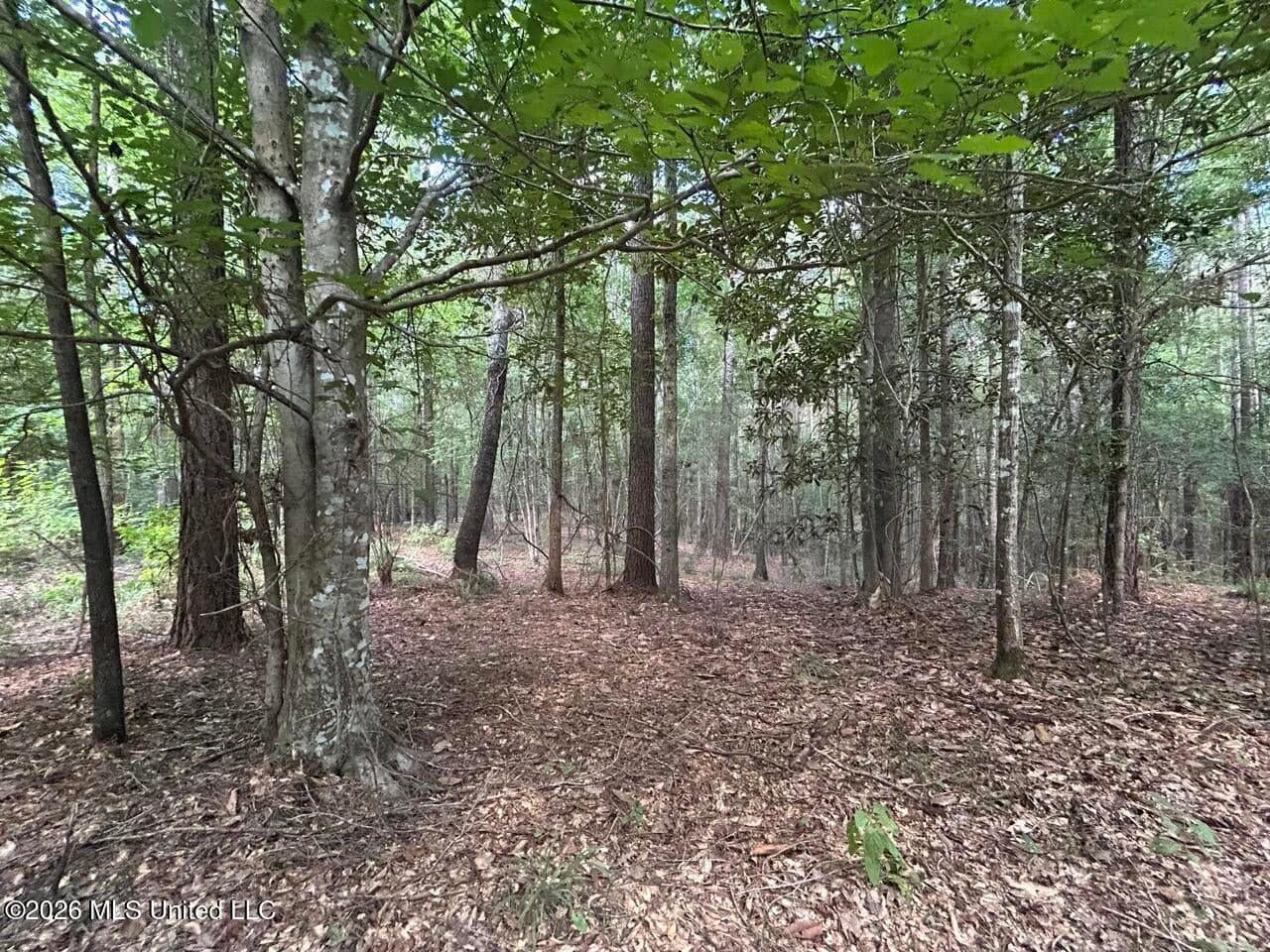 FRANKLIN COUNTY LAND FOR SALE NEAR McCALL CREEK