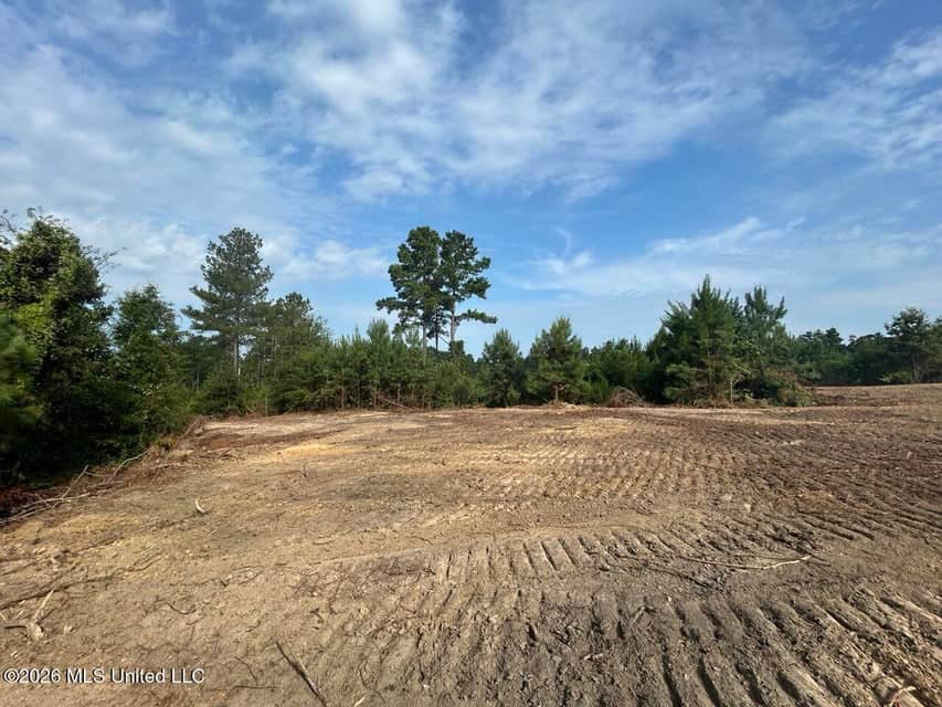 90± Acre Hunting Tract for Sale in Meadville, MS