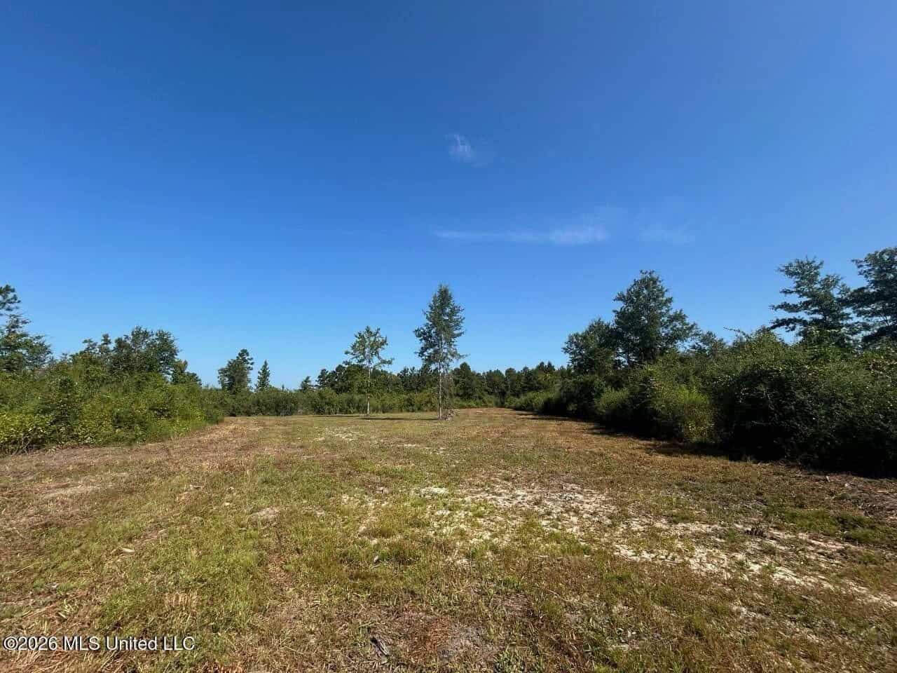 50± Acre Homesite & Hunting Land in Plainview, LA