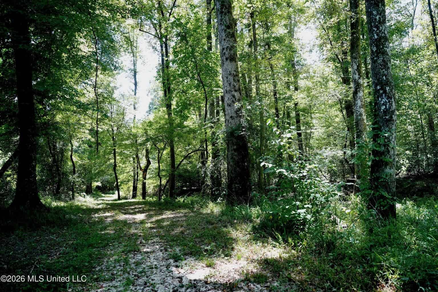 150 Acres for Sale in Magnolia MS on Tangipahoa River