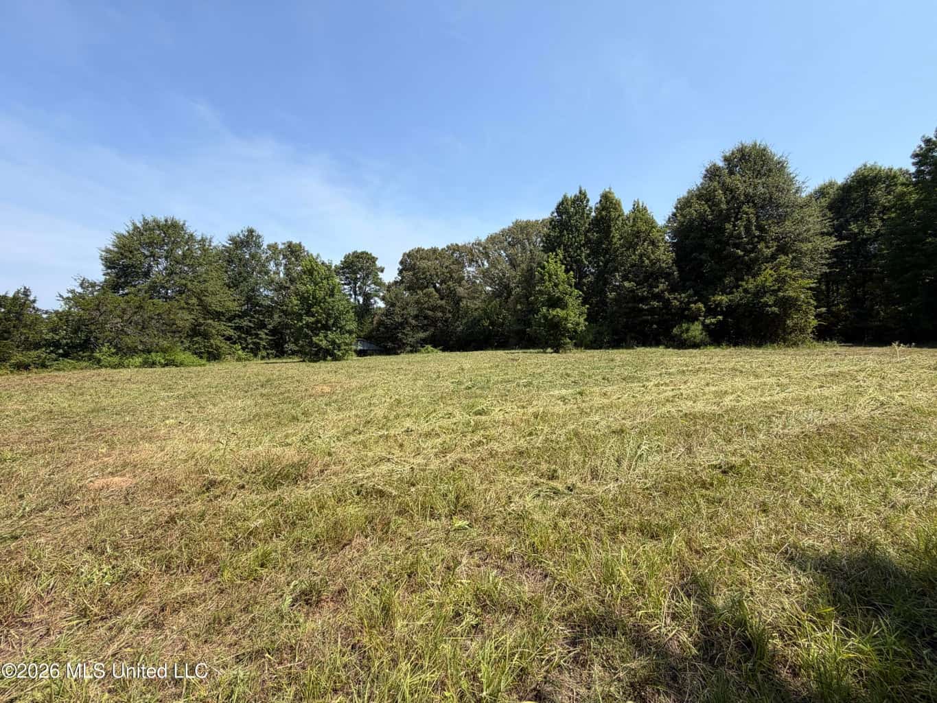 81-Acre Timber Property on 20-Acre Lake in Vaughan, MS
