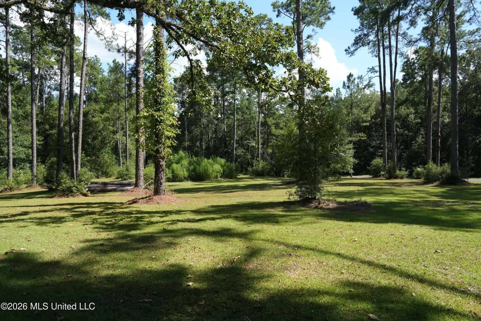 20 Acres for Sale Magnolia MS with Barn & Mature Timber