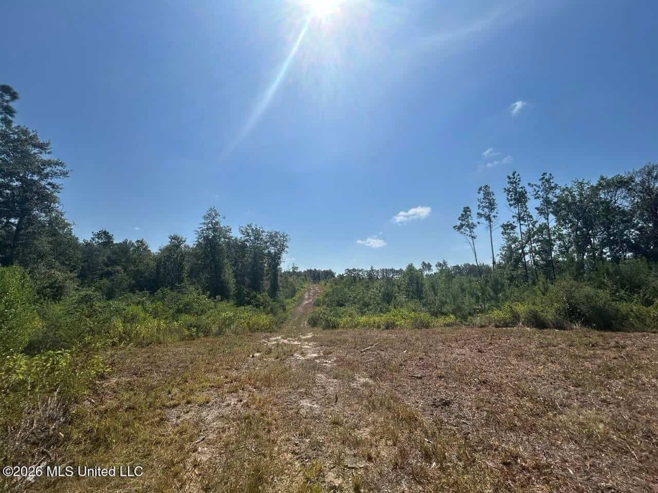 42± Acre Homesite & Hunting Land in Plainview, LA