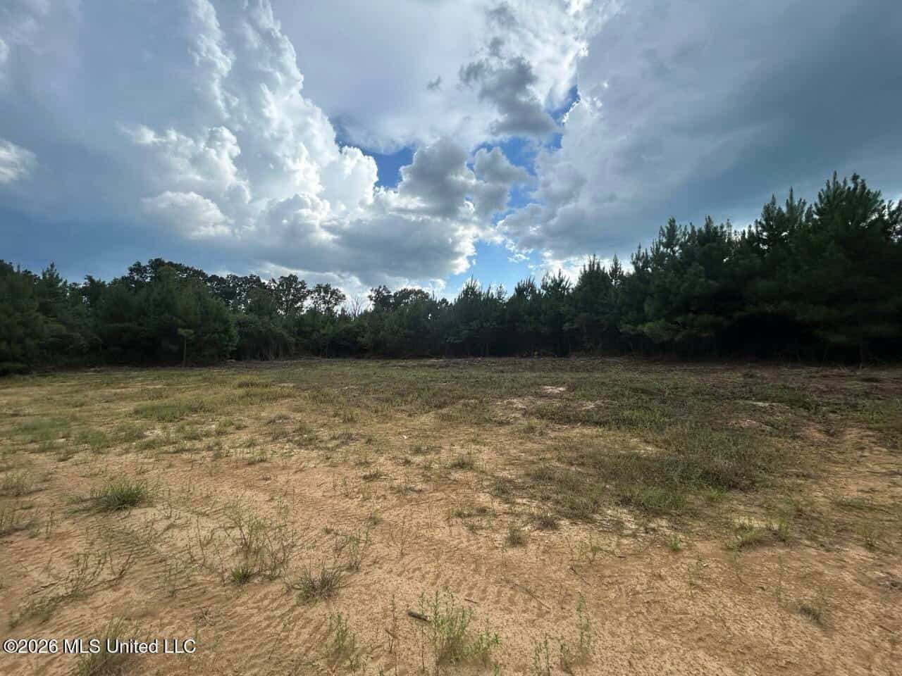 85± Acre Turnkey Hunting Property in Amite County, MS