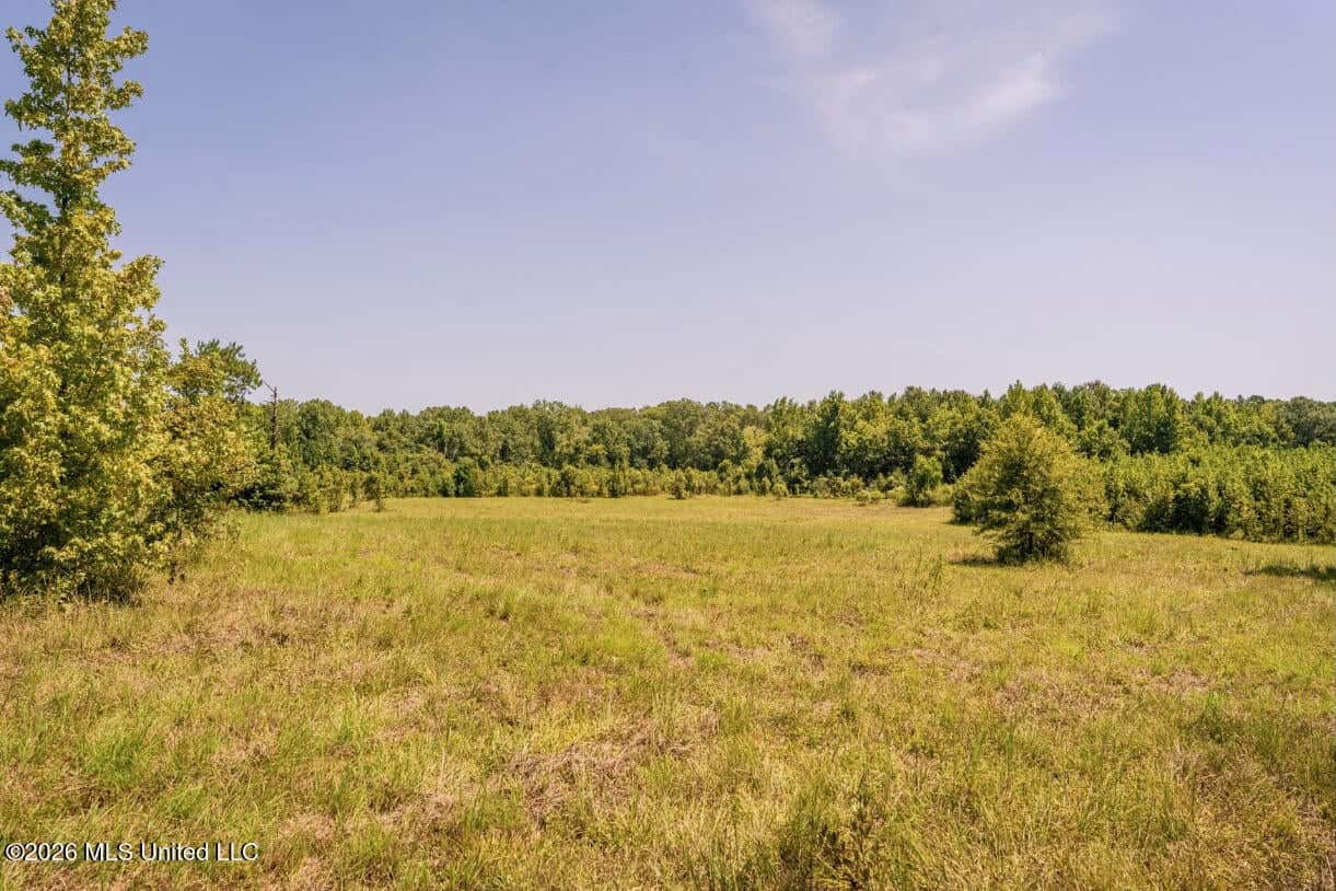 52.25± Acres in Copiah County, MS Near Hazlehurst