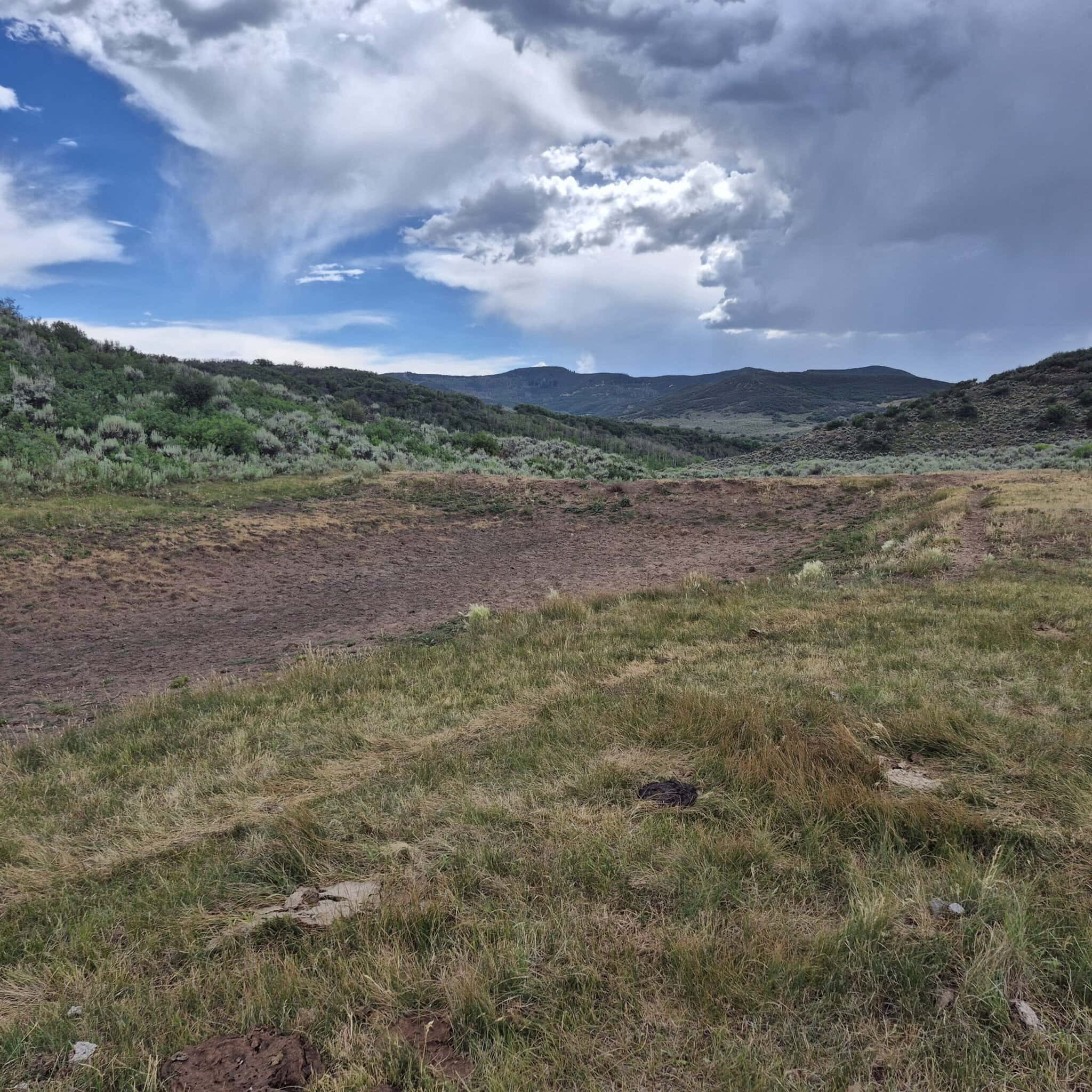 35 Acres Borders Public Land near Collbran, CO