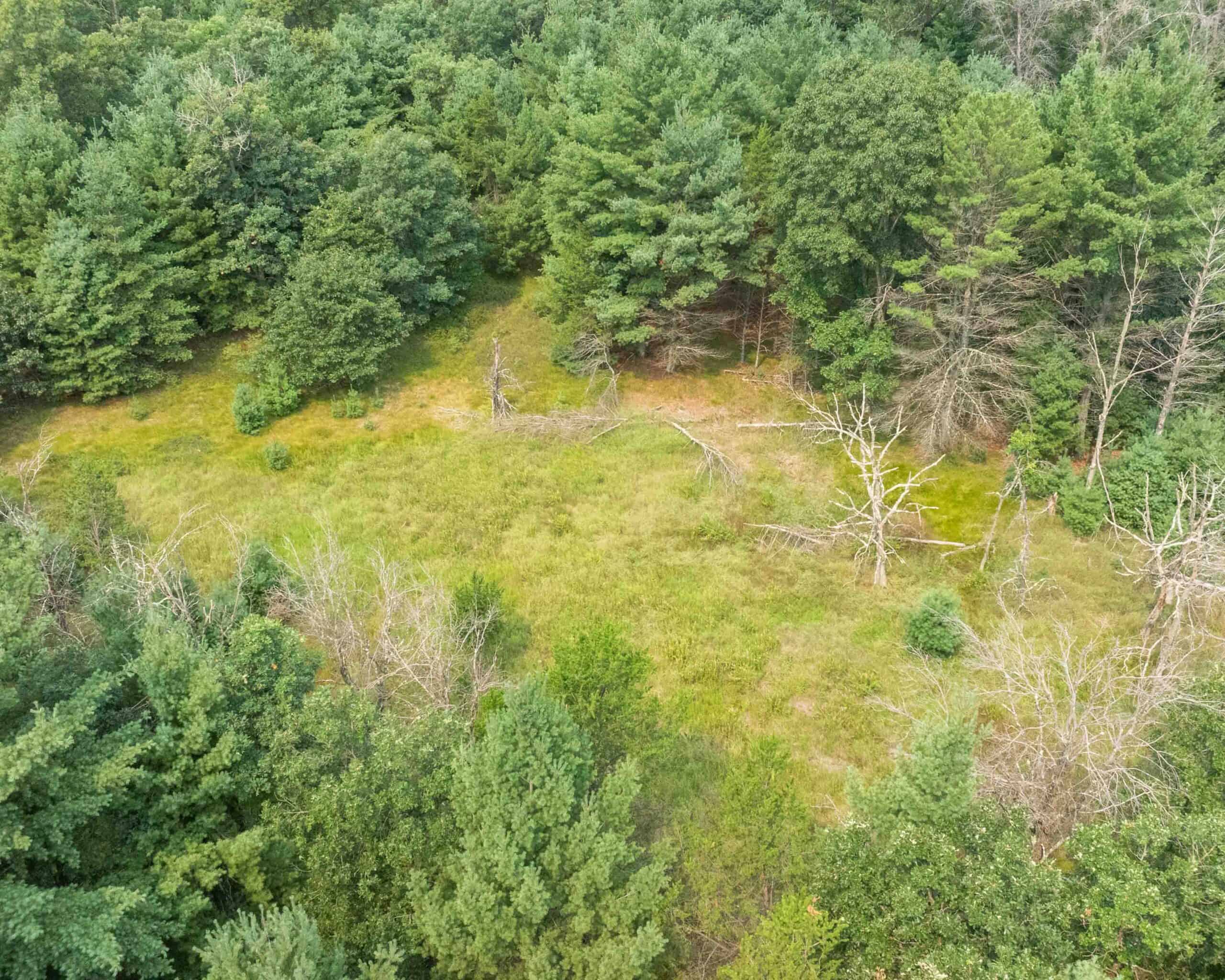 Rare opportunity to own 17.54 wooded acres within the City of Adams
