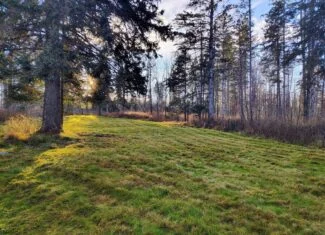 80± Acre Hunting Retreat for Sale in Butternut, WI