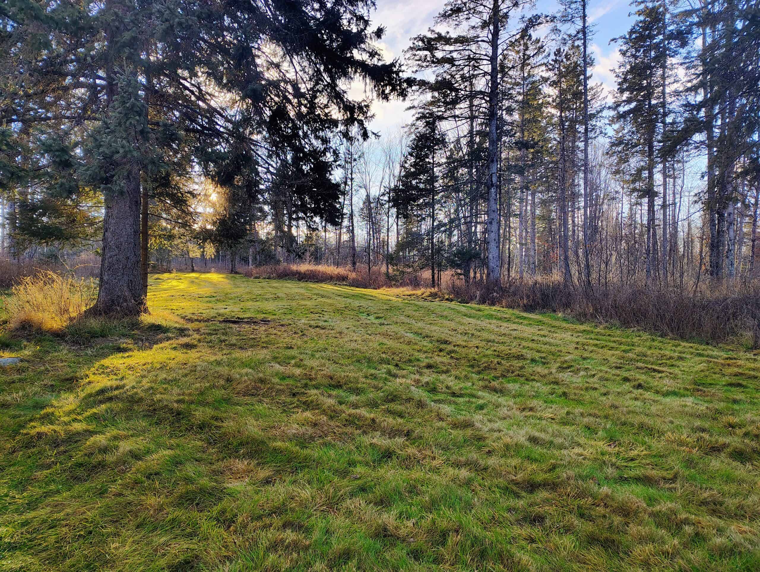 80± Acre Hunting Retreat for Sale in Butternut, WI