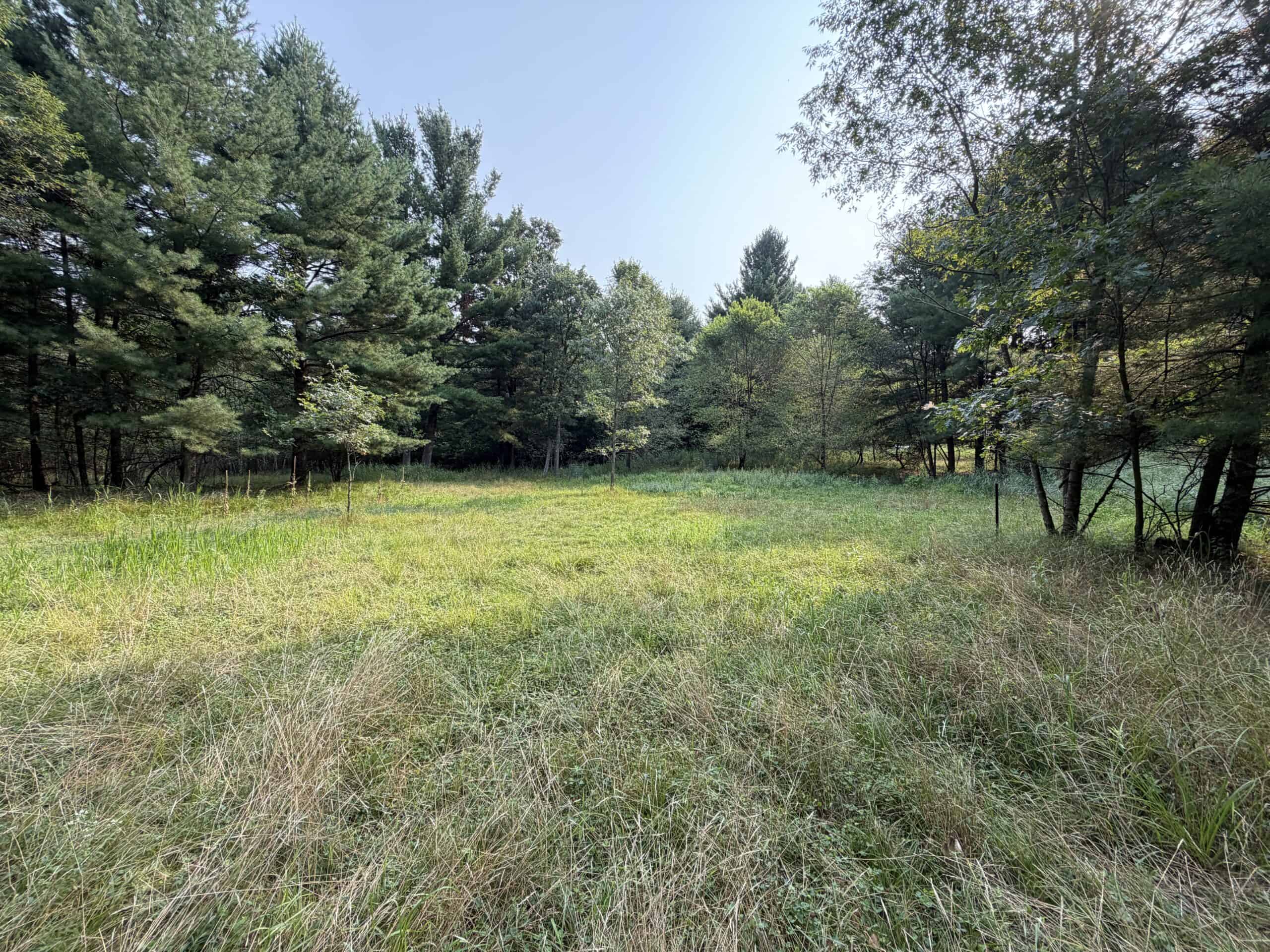 Rare opportunity to own 17.54 wooded acres within the City of Adams