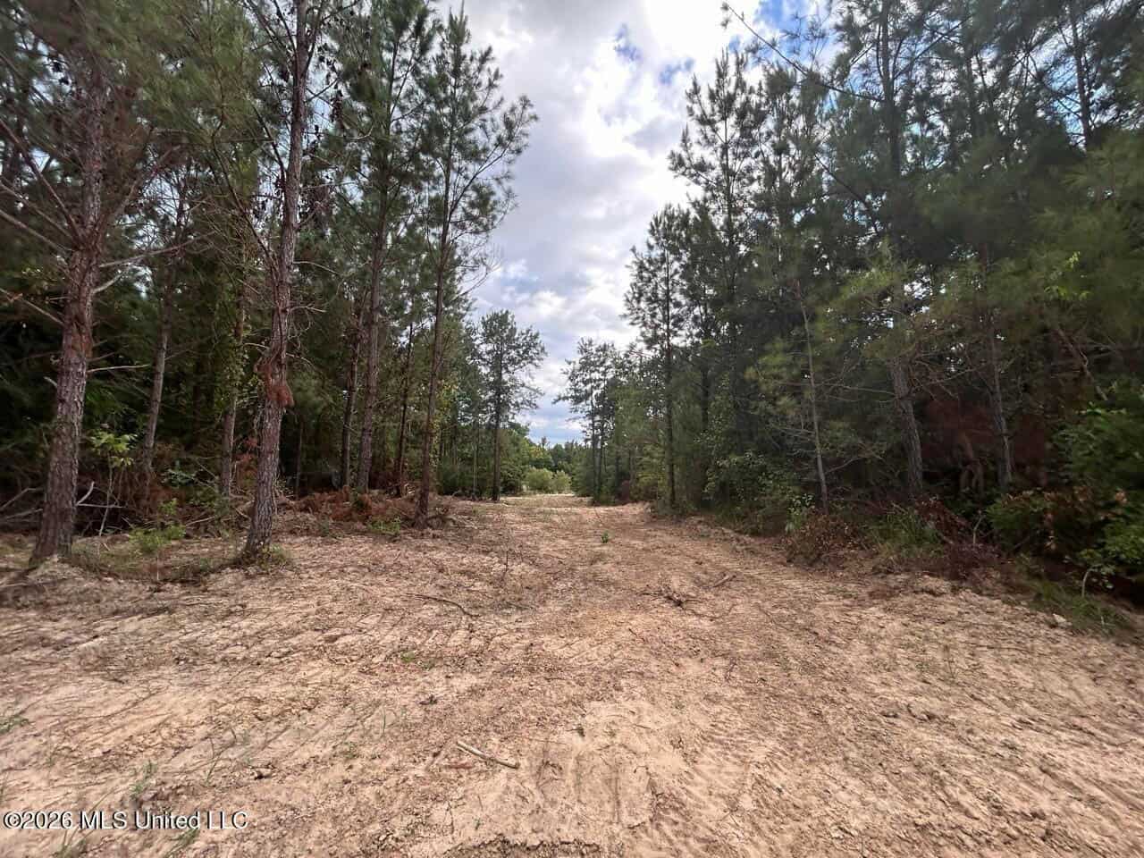 82± Acre Hunting Tract in Meadville, MS