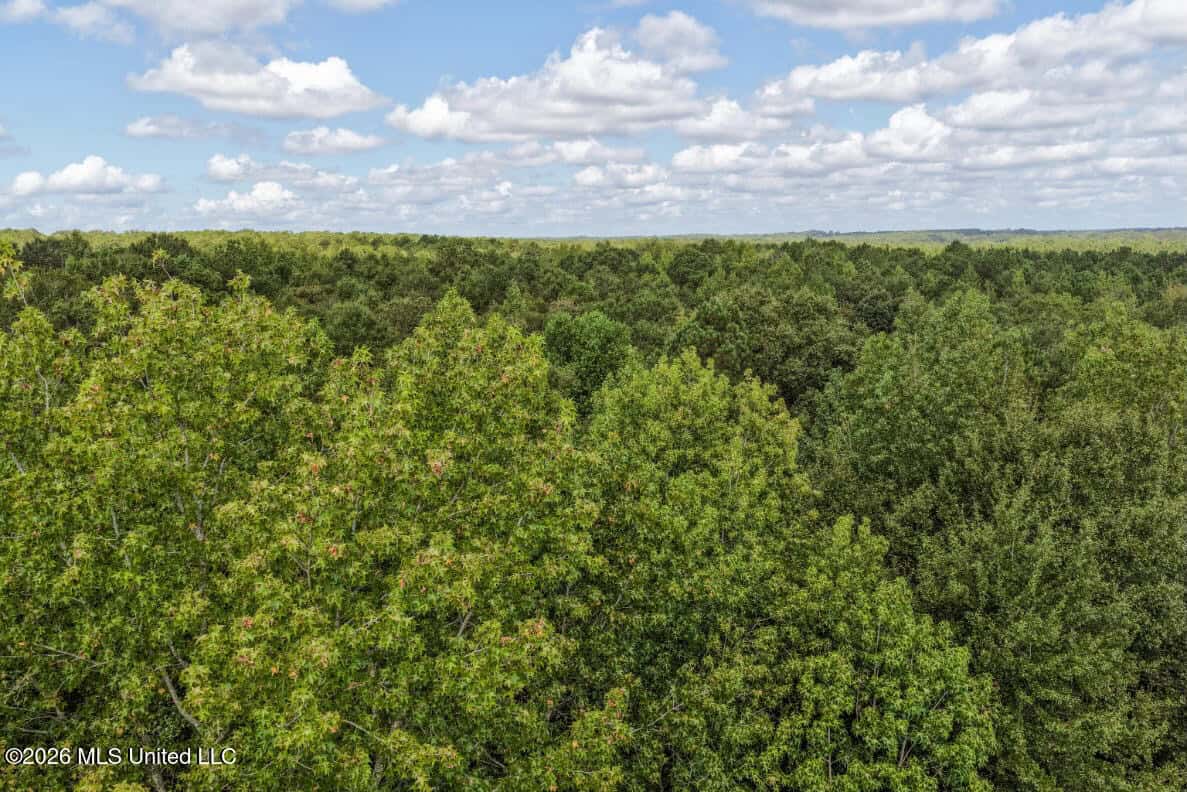 HWY 49 Land for Sale Simpson County, MS